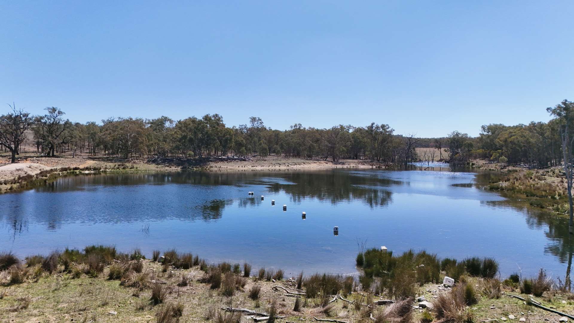 831 Stanthorpe-Inglewood Road, Pikedale For Sale by Farmbuy.com - image 15