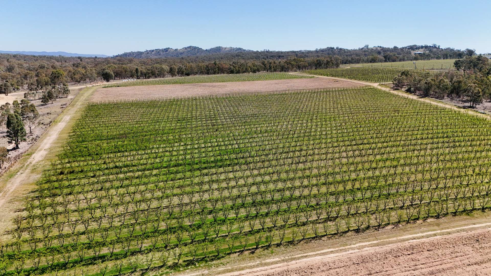831 Stanthorpe-Inglewood Road, Pikedale For Sale by Farmbuy.com - image 7