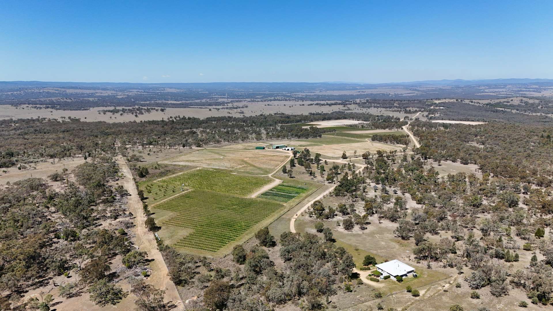 831 Stanthorpe-Inglewood Road, Pikedale For Sale by Farmbuy.com - image 4