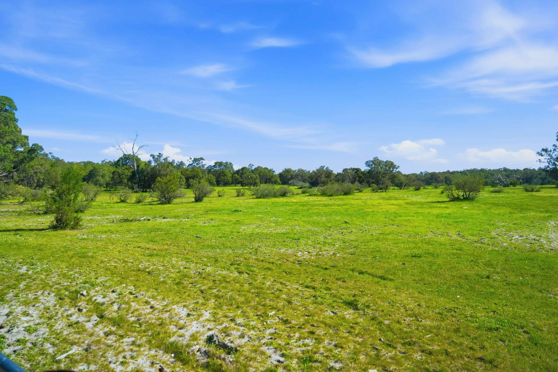 Lot 2728 Doman Road, Lake Clifton For Sale by Farmbuy.com - image 7