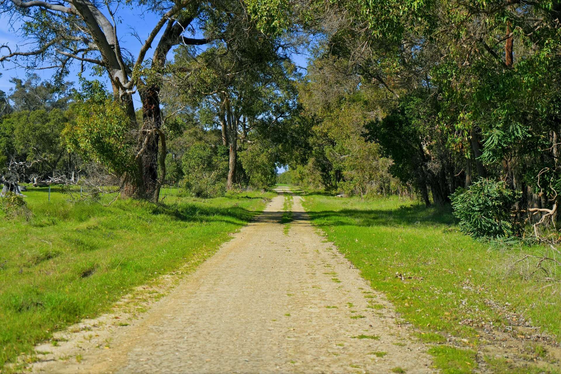 Lot 2728 Doman Road, Lake Clifton For Sale by Farmbuy.com - image 15