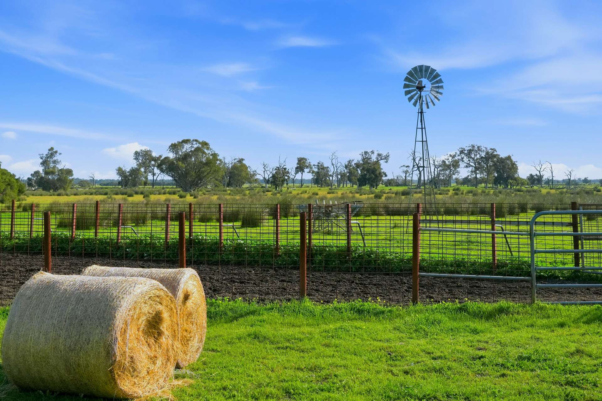 Lot 2728 Doman Road, Lake Clifton For Sale by Farmbuy.com - image 4