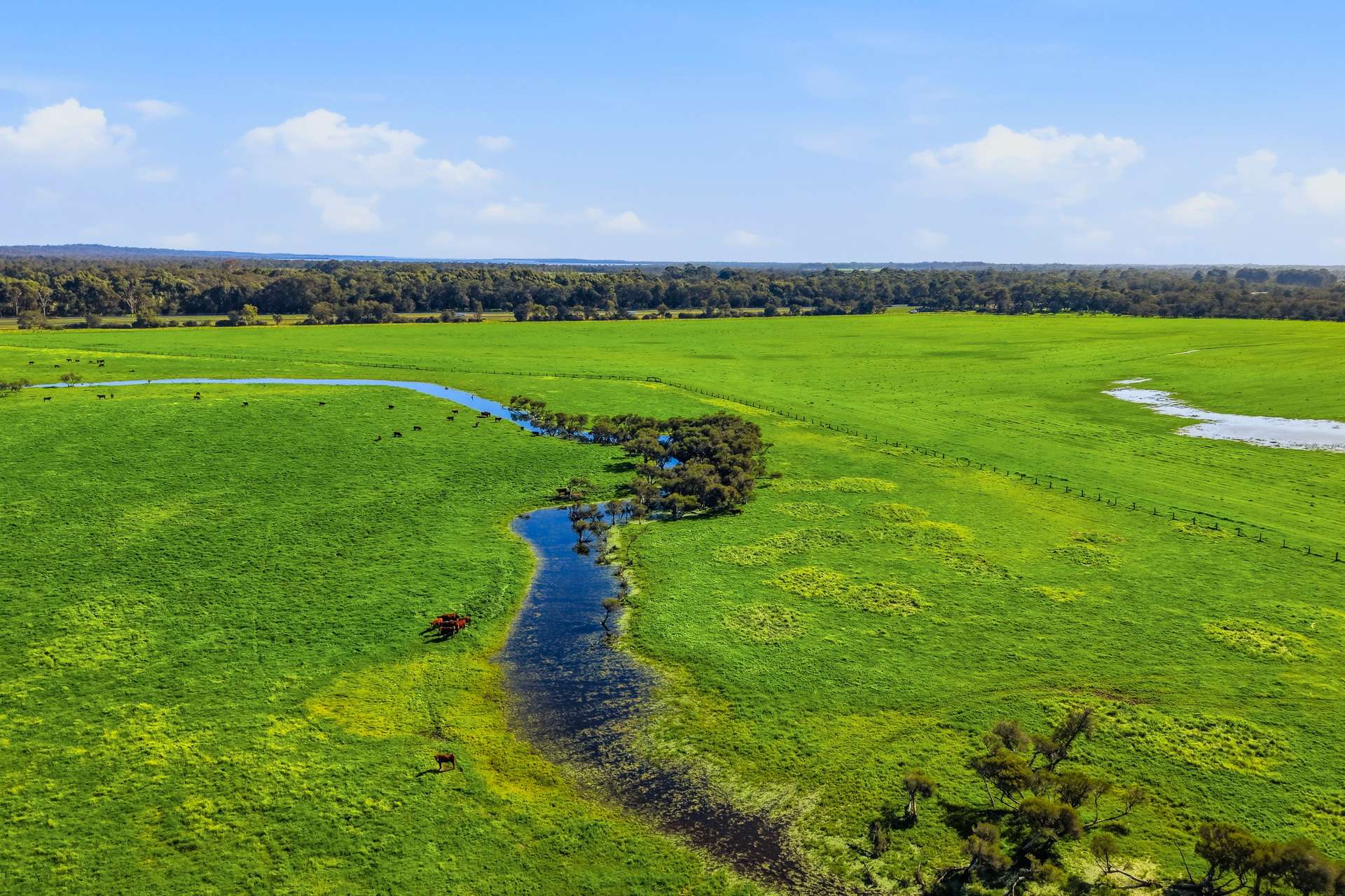 Lot 2728 Doman Road, Lake Clifton For Sale by Farmbuy.com - image 12