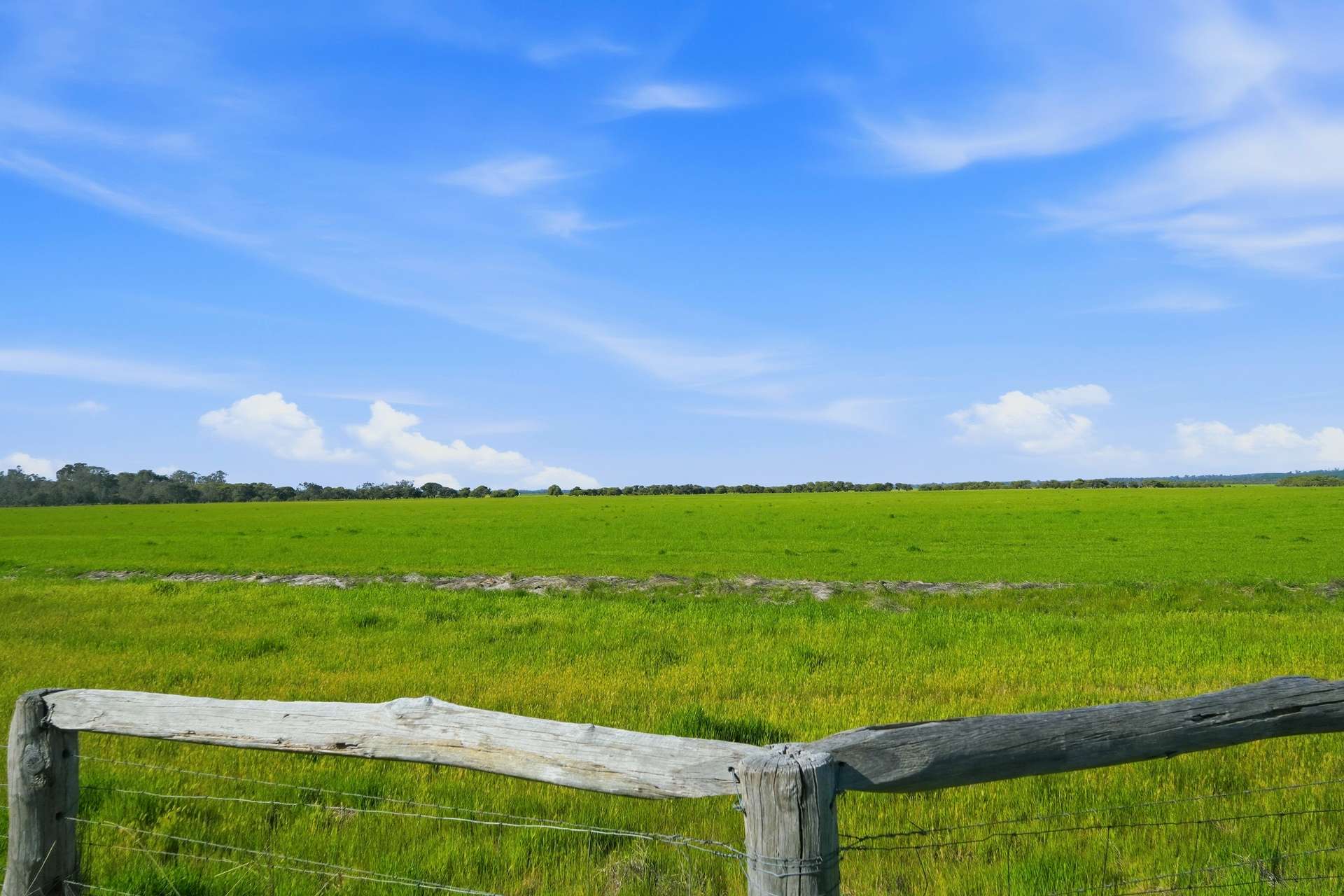 Lot 2728 Doman Road, Lake Clifton For Sale by Farmbuy.com - image 6