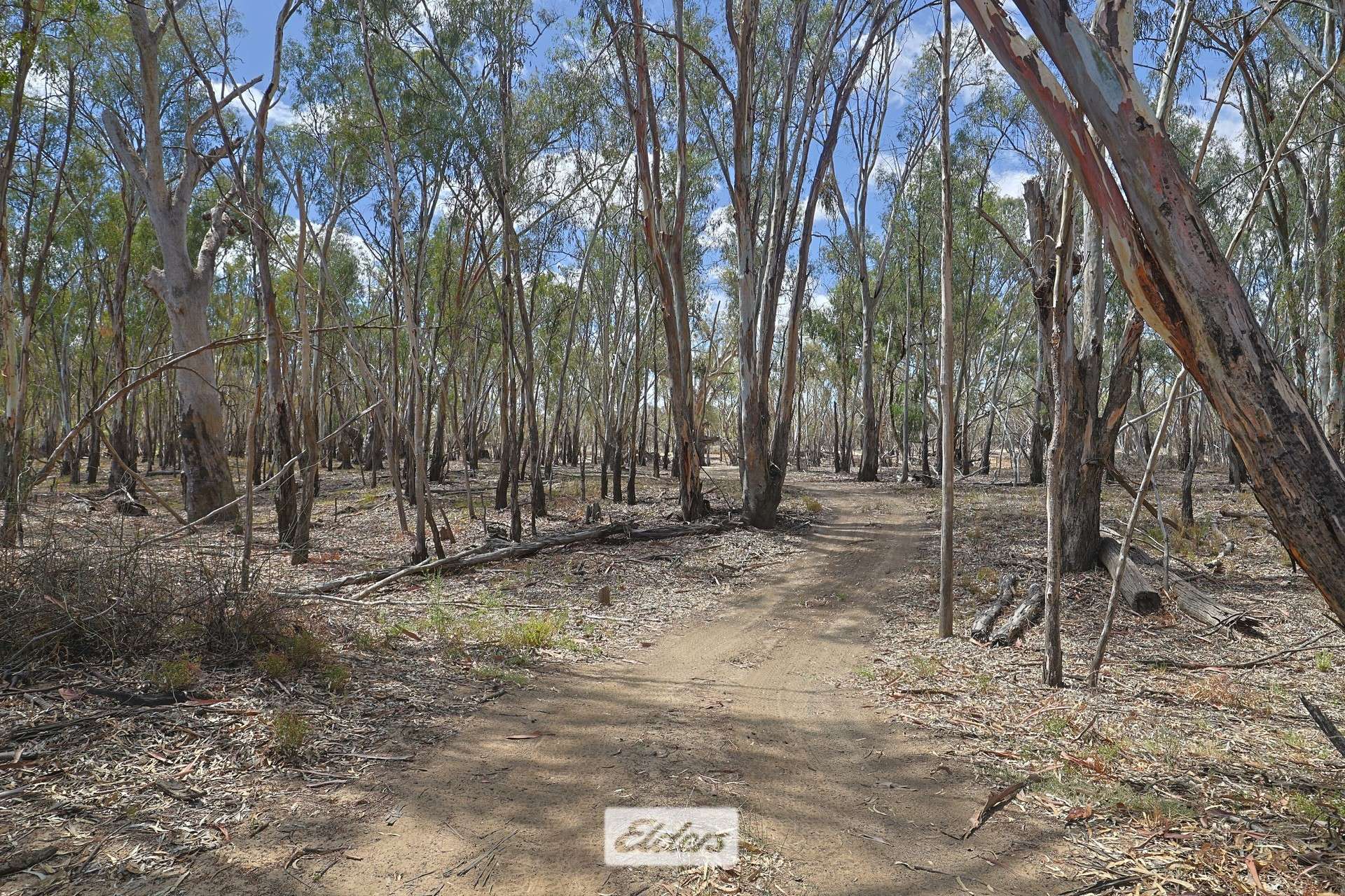 14 Boeill Creek Road, Boeill Creek For Sale by Farmbuy.com - image 24