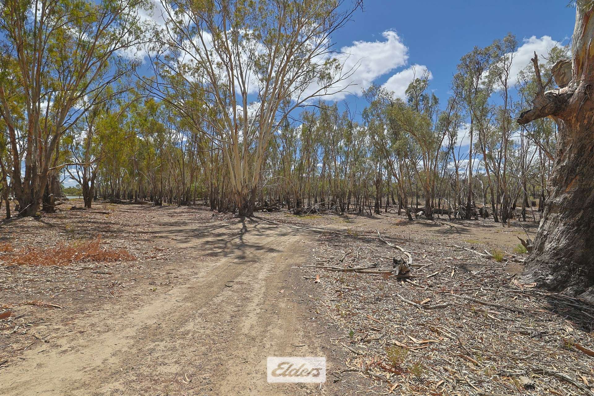 14 Boeill Creek Road, Boeill Creek For Sale by Farmbuy.com - image 17
