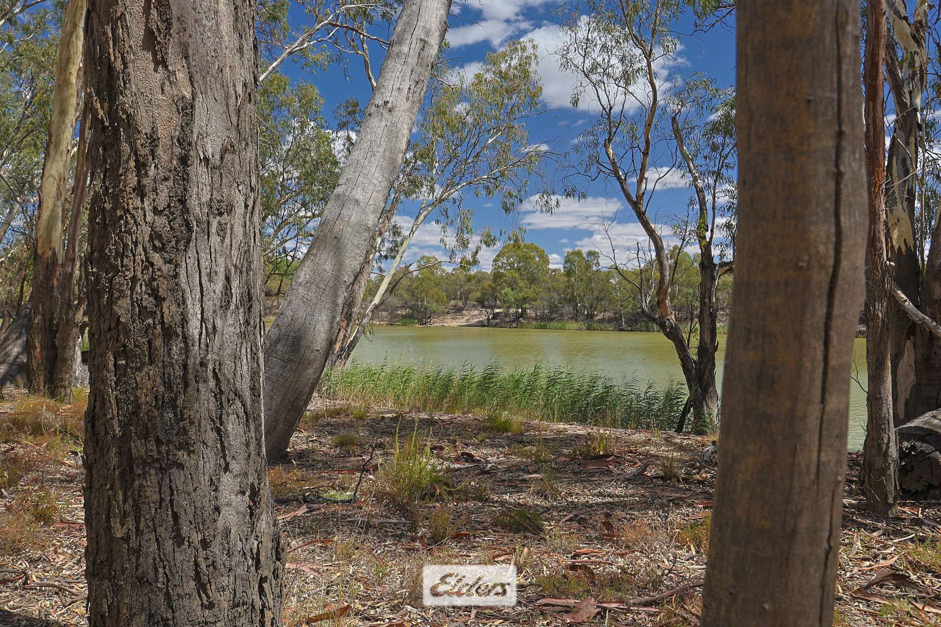 14 Boeill Creek Road, Boeill Creek For Sale by Farmbuy.com - image 21