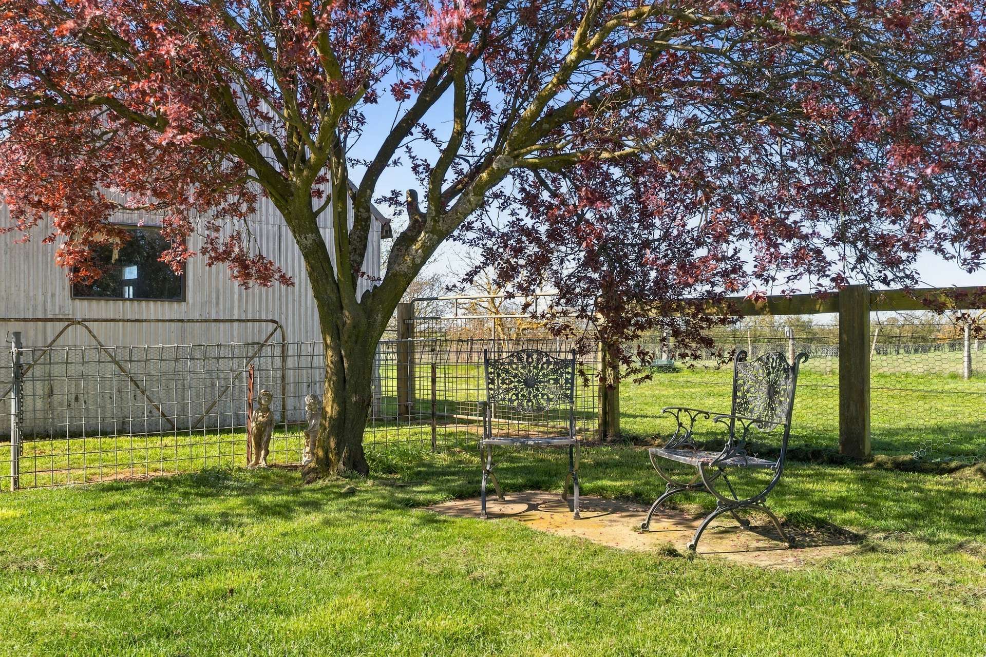 1334 Millthorpe Road, Millthorpe Auction by Farmbuy.com - image 16