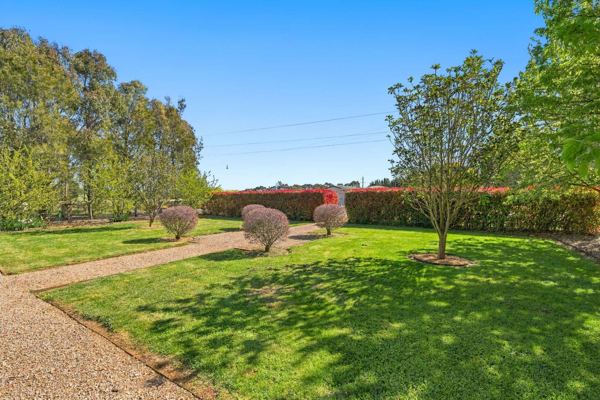 1334 Millthorpe Road, Millthorpe Auction by Farmbuy.com - image 4
