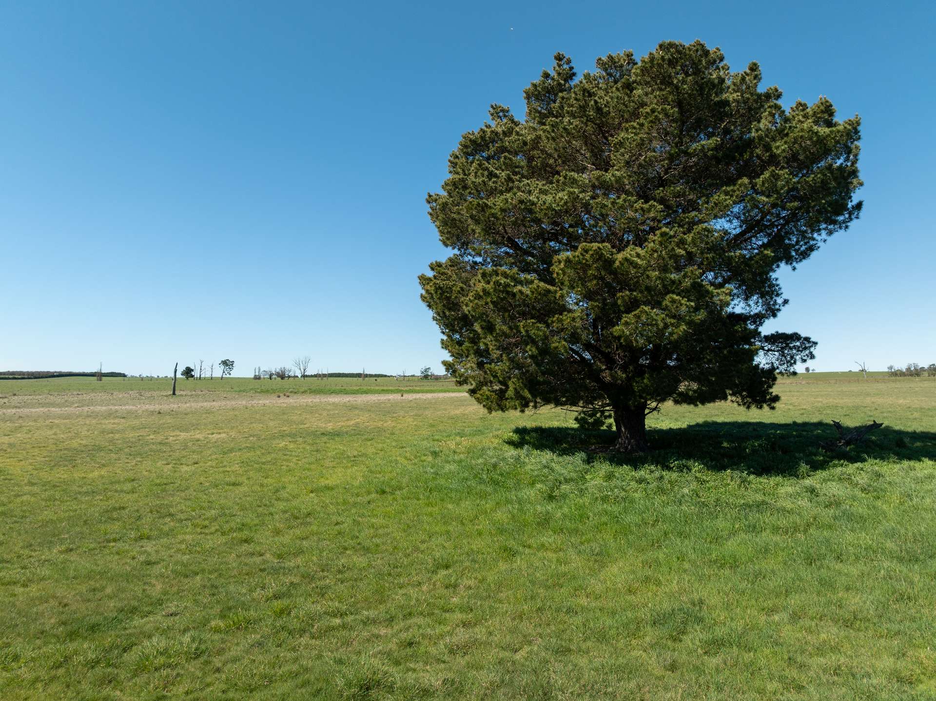 1334 Millthorpe Road, Millthorpe Auction by Farmbuy.com - image 32