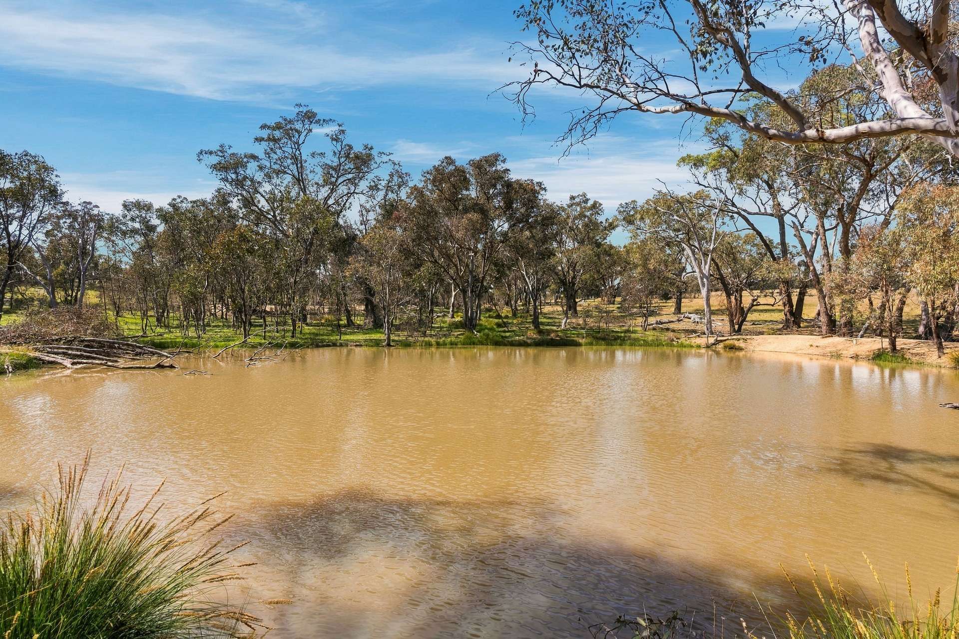 1291 Carlwood Road, O'Connell Auction by Farmbuy.com - image 5