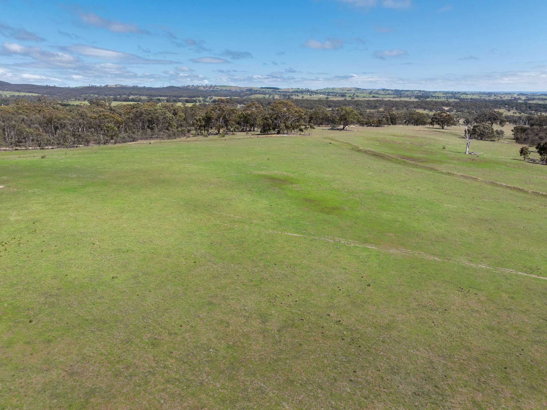 1291 Carlwood Road, O'Connell Auction by Farmbuy.com - image 15