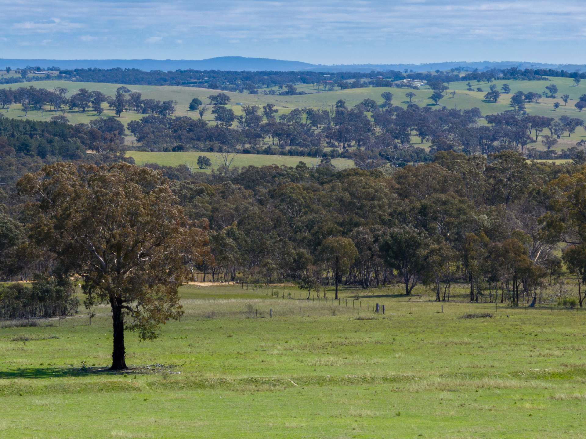 1291 Carlwood Road, O'Connell Auction by Farmbuy.com - image 20
