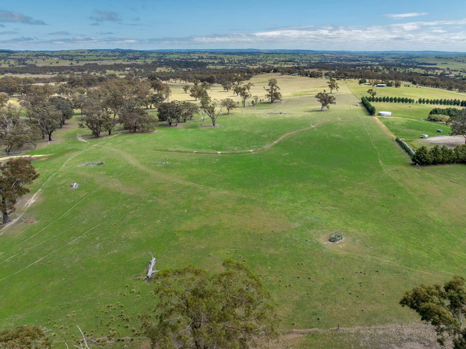 1291 Carlwood Road, O'Connell Auction by Farmbuy.com - image 8