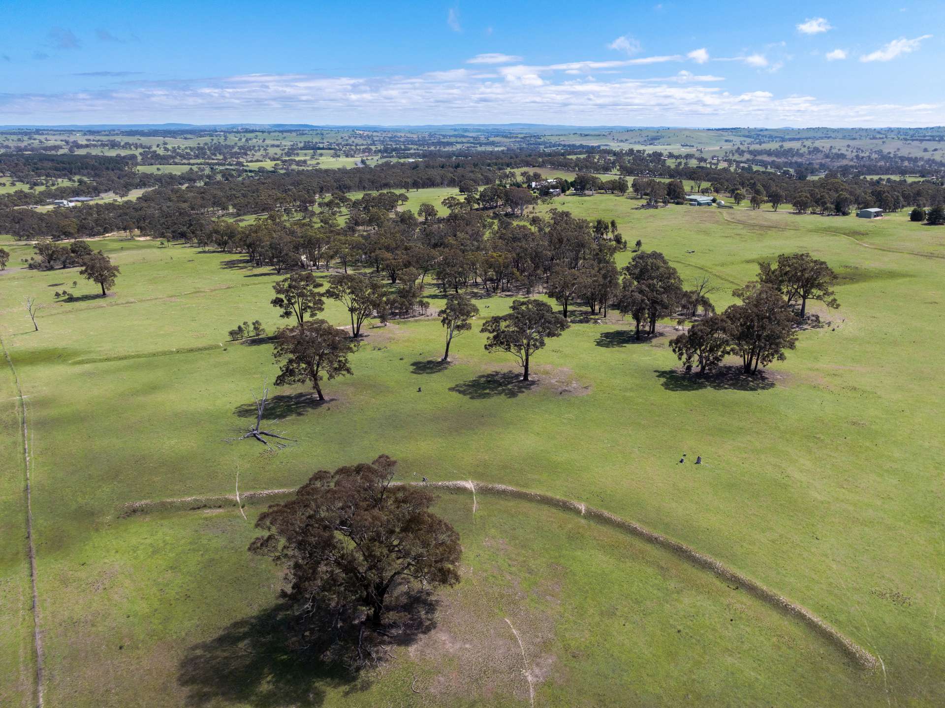 1291 Carlwood Road, O'Connell Auction by Farmbuy.com - image 13