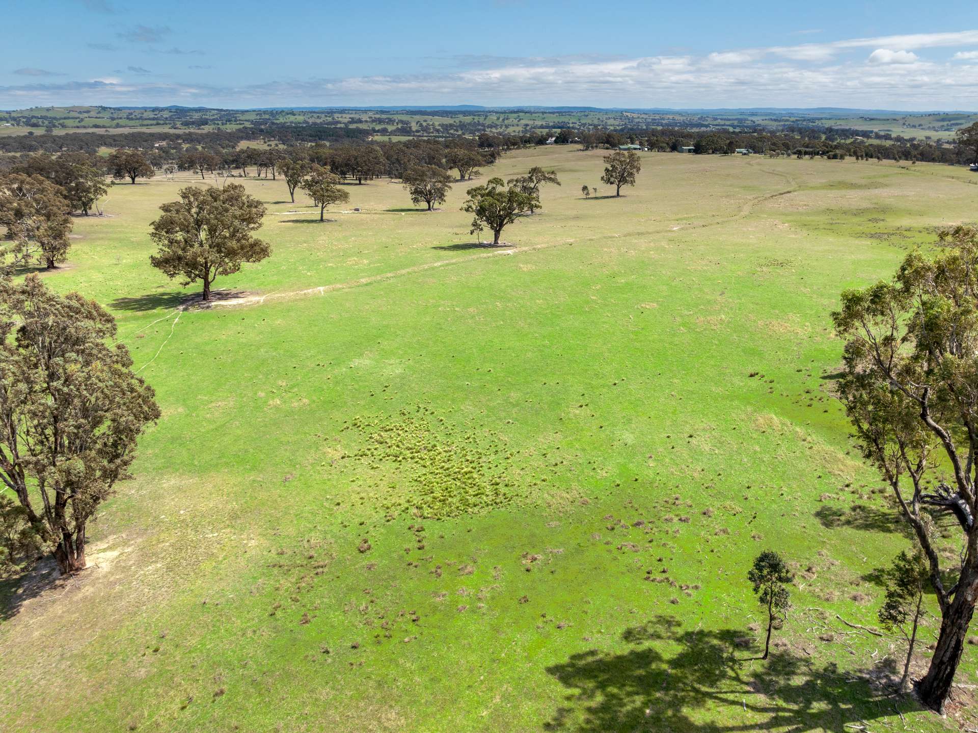 1291 Carlwood Road, O'Connell Auction by Farmbuy.com - image 10