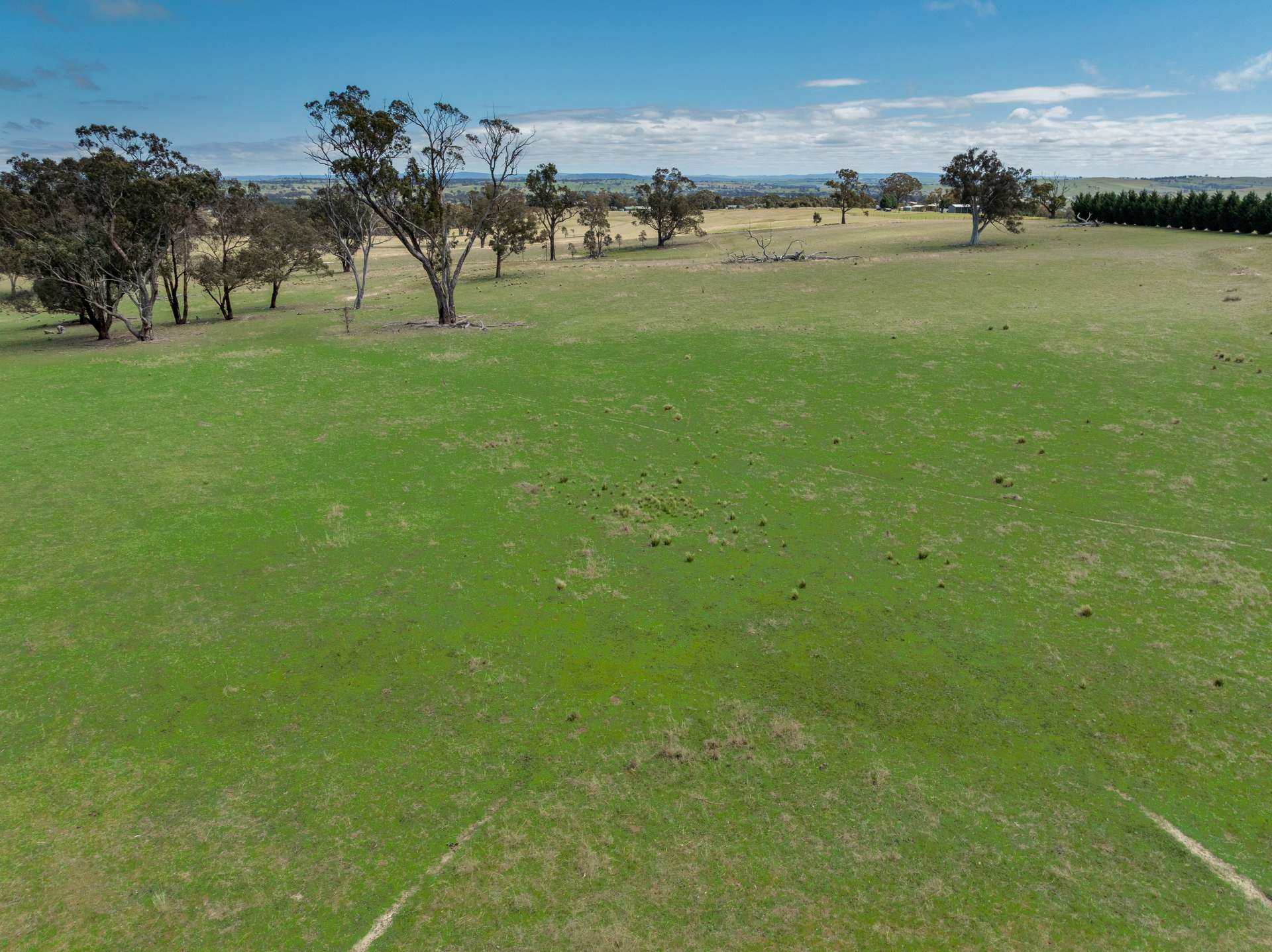1291 Carlwood Road, O'Connell Auction by Farmbuy.com - image 9
