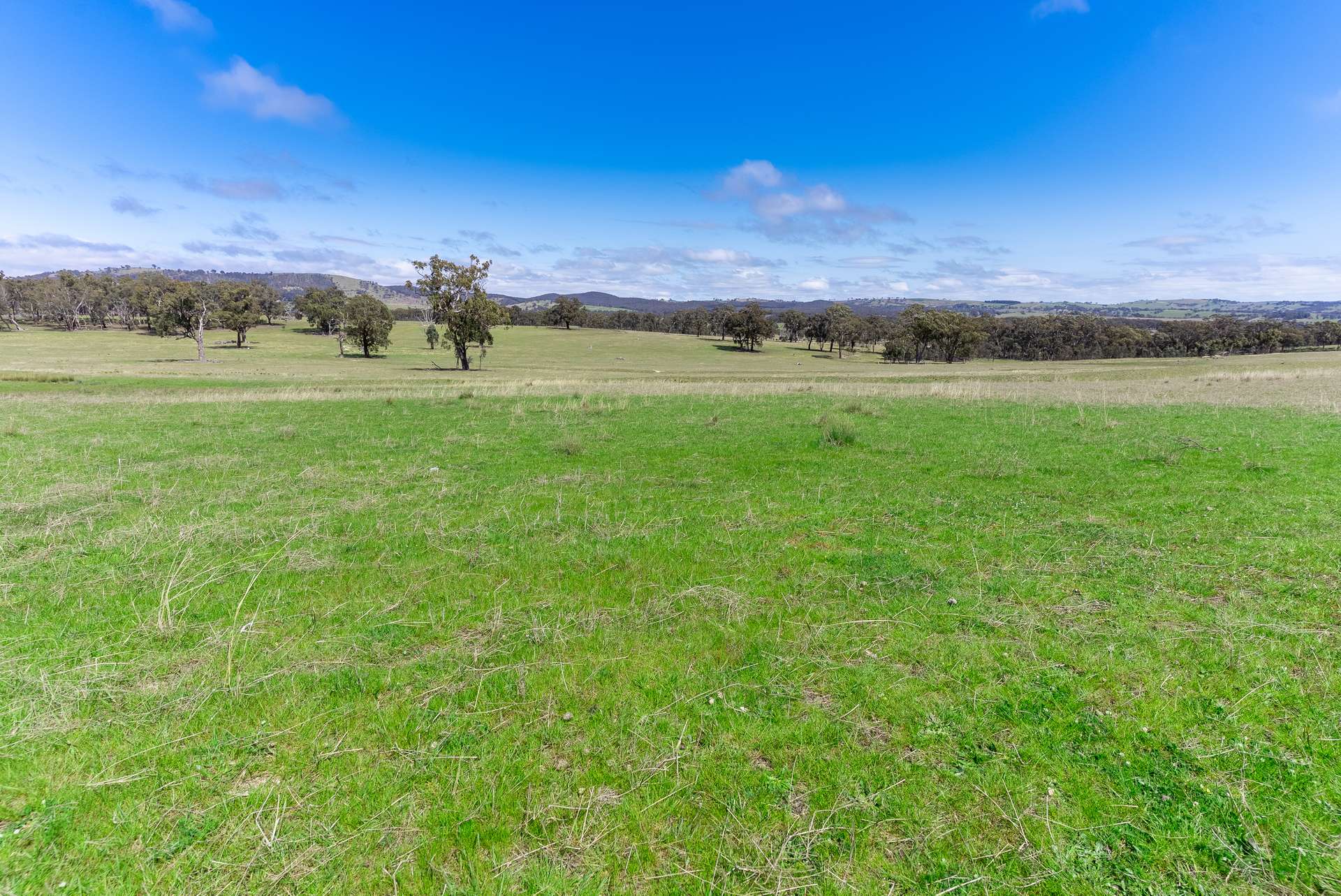 1291 Carlwood Road, O'Connell Auction by Farmbuy.com - image 22