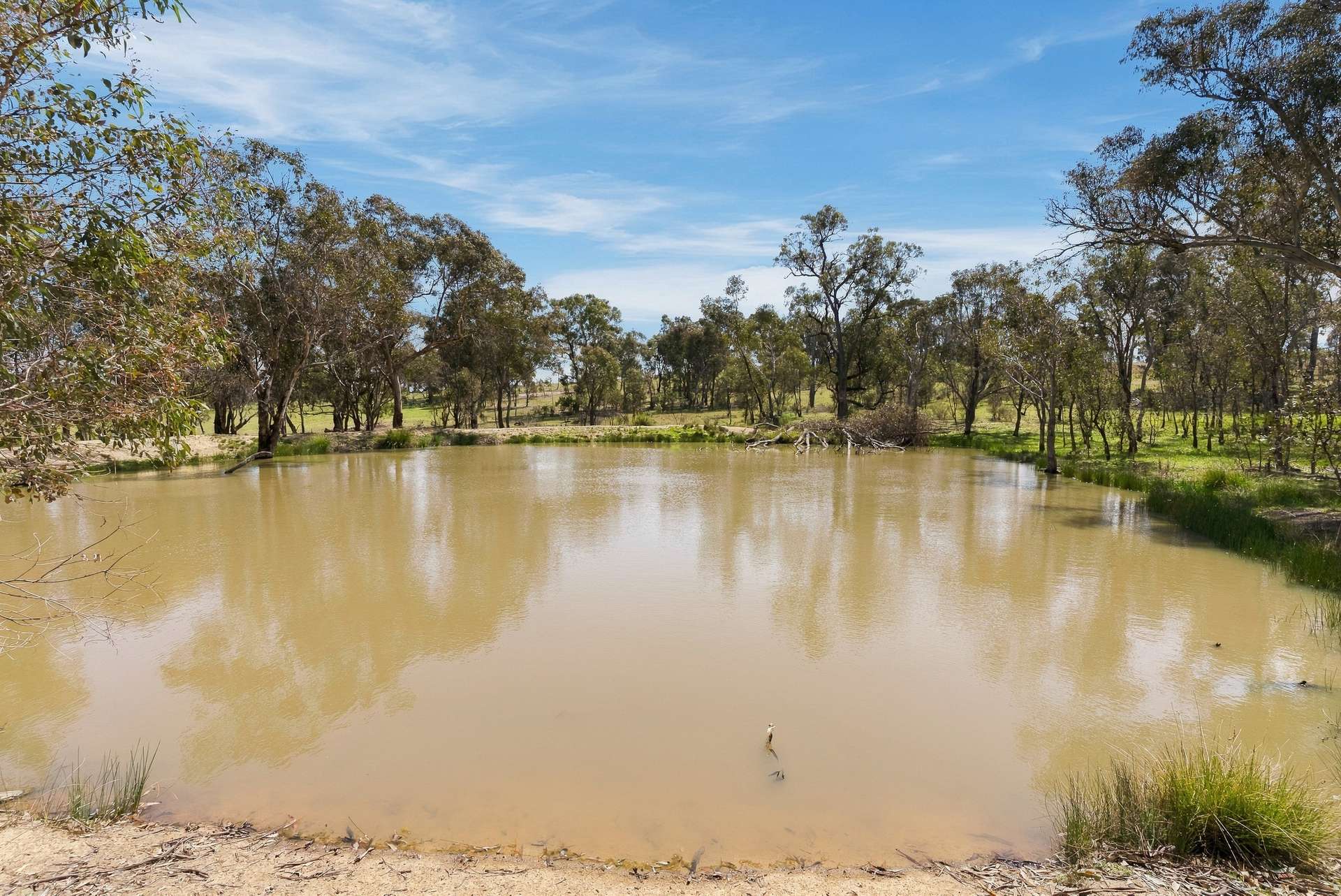 1291 Carlwood Road, O'Connell Auction by Farmbuy.com - image 21