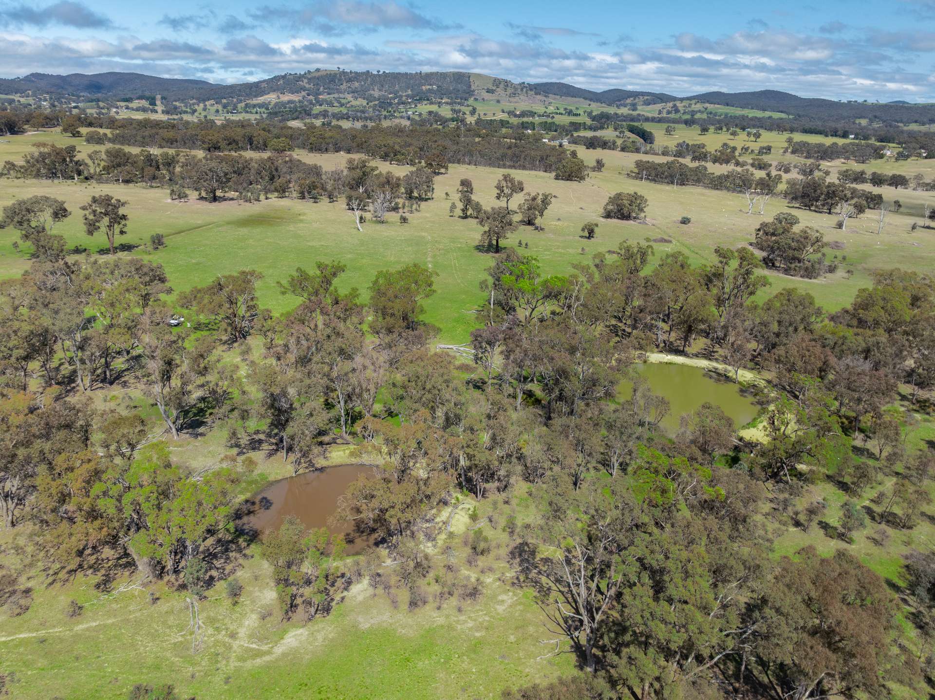 1291 Carlwood Road, O'Connell Auction by Farmbuy.com - image 4