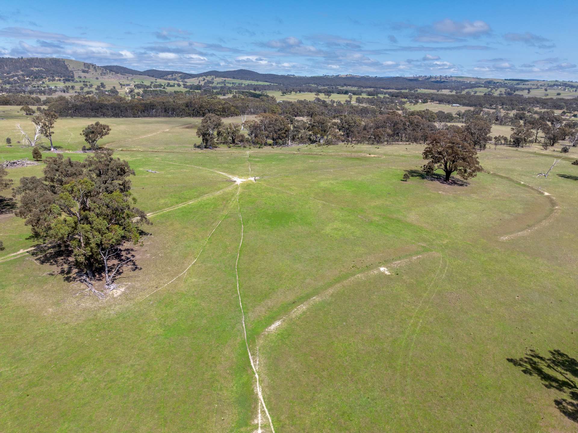 1291 Carlwood Road, O'Connell Auction by Farmbuy.com - image 11