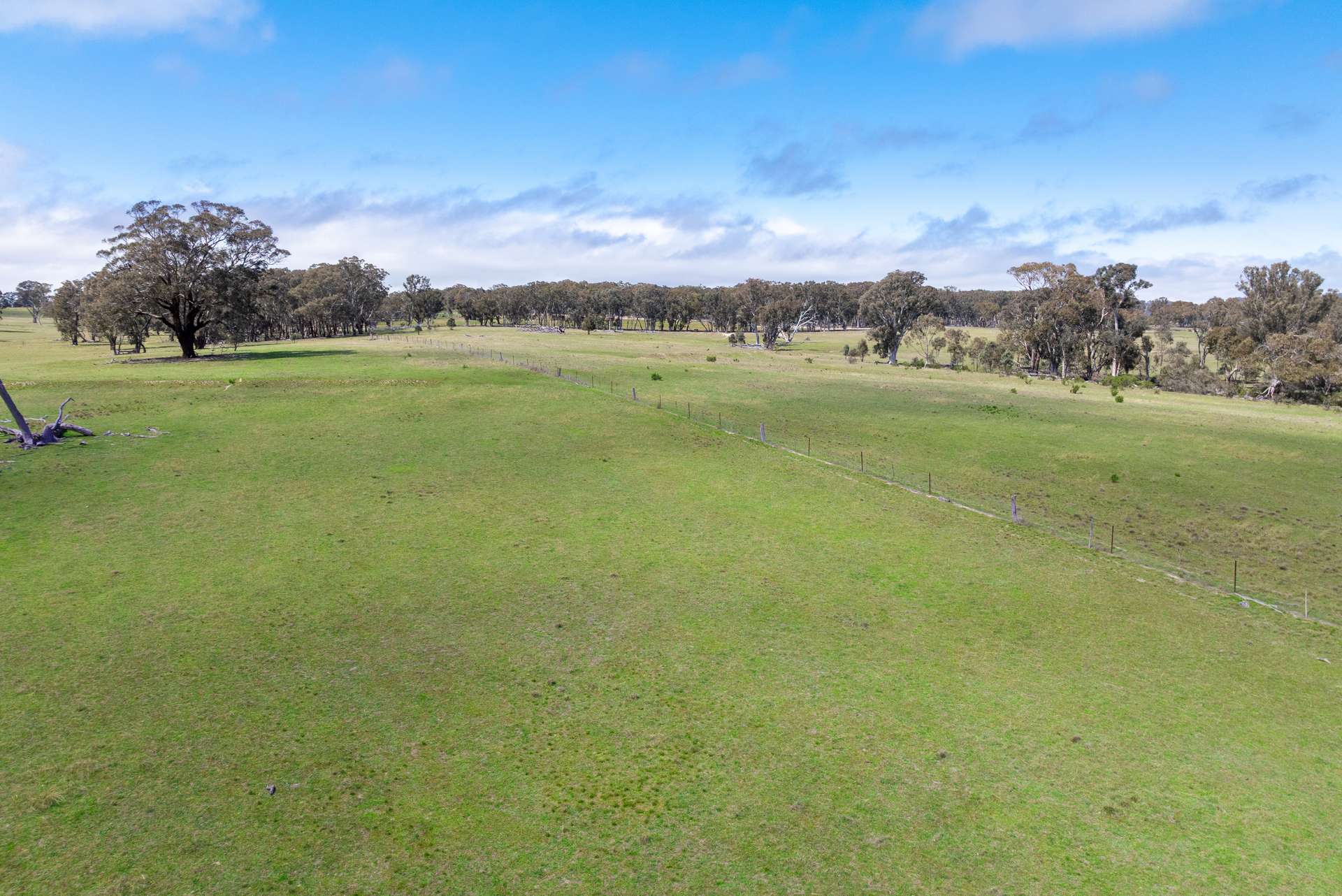 1291 Carlwood Road, O'Connell Auction by Farmbuy.com - image 19