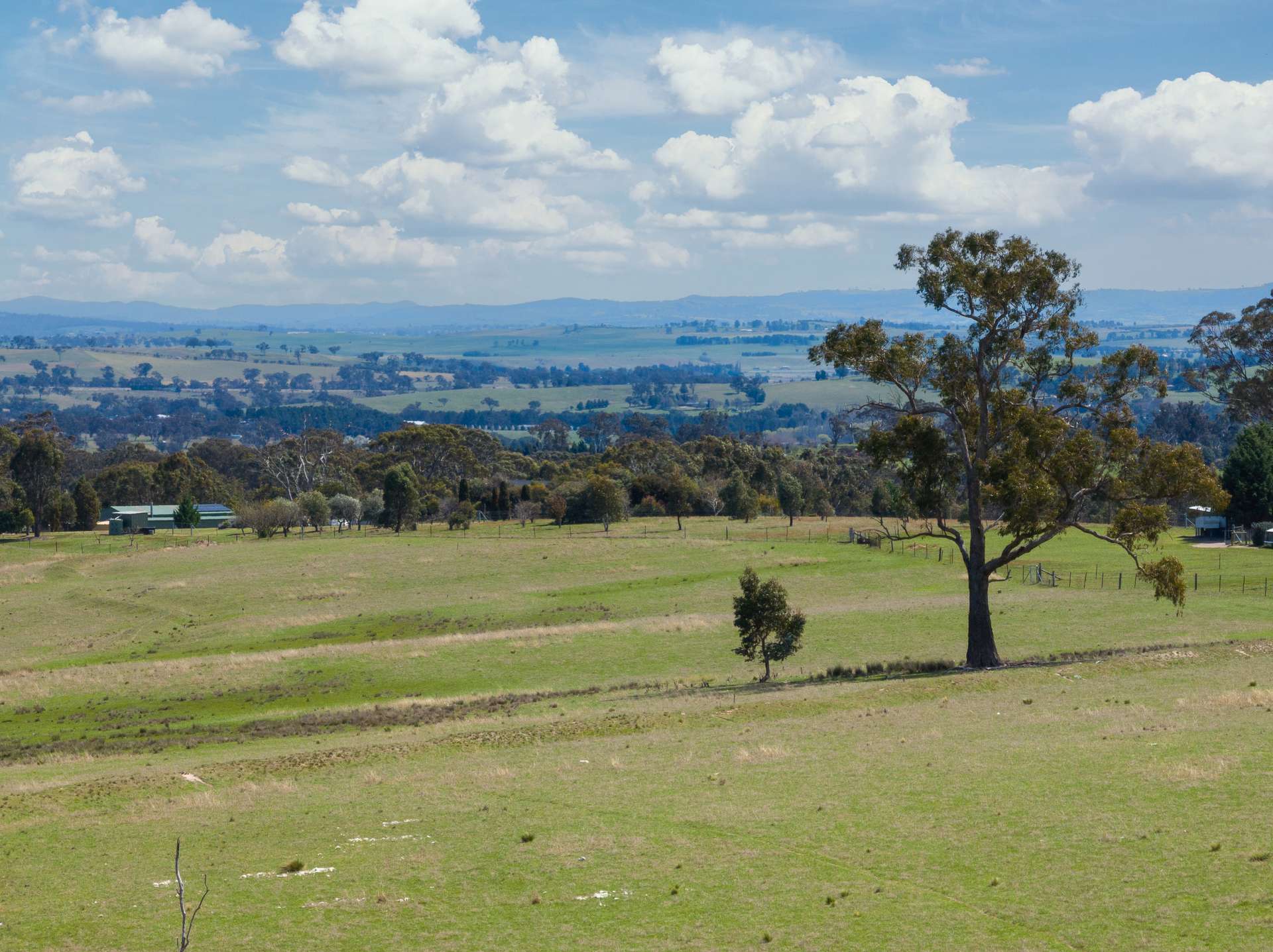 1291 Carlwood Road, O'Connell Auction by Farmbuy.com - image 3