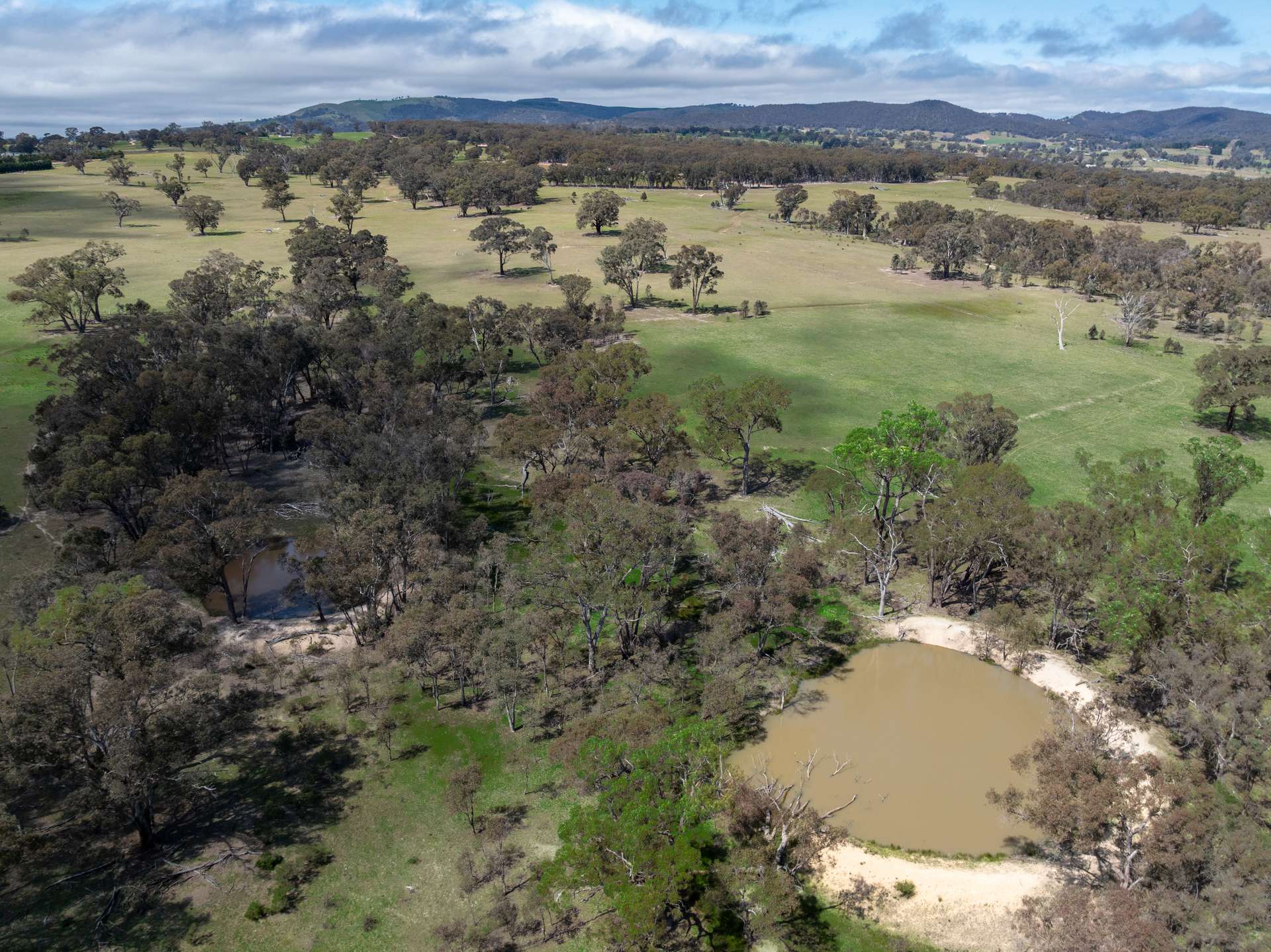 1291 Carlwood Road, O'Connell Auction by Farmbuy.com - image 17