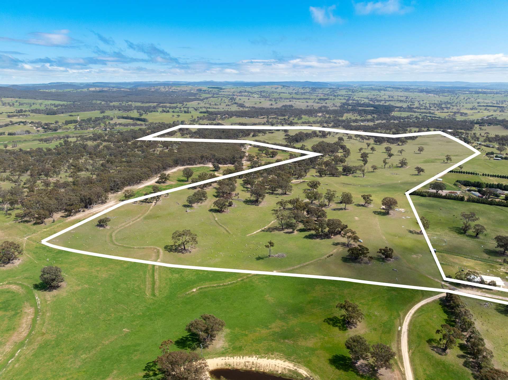 1291 Carlwood Road, O'Connell Auction by Farmbuy.com - image 7