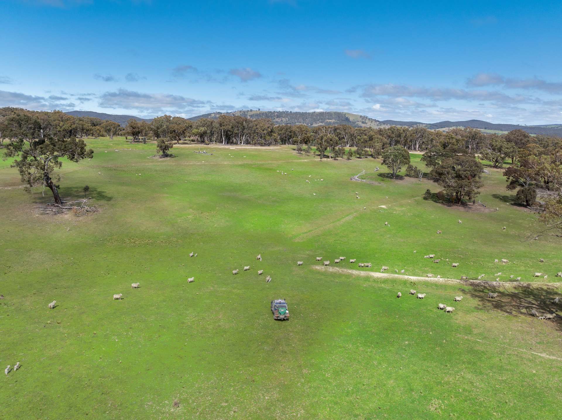 1291 Carlwood Road, O'Connell Auction by Farmbuy.com - image 23