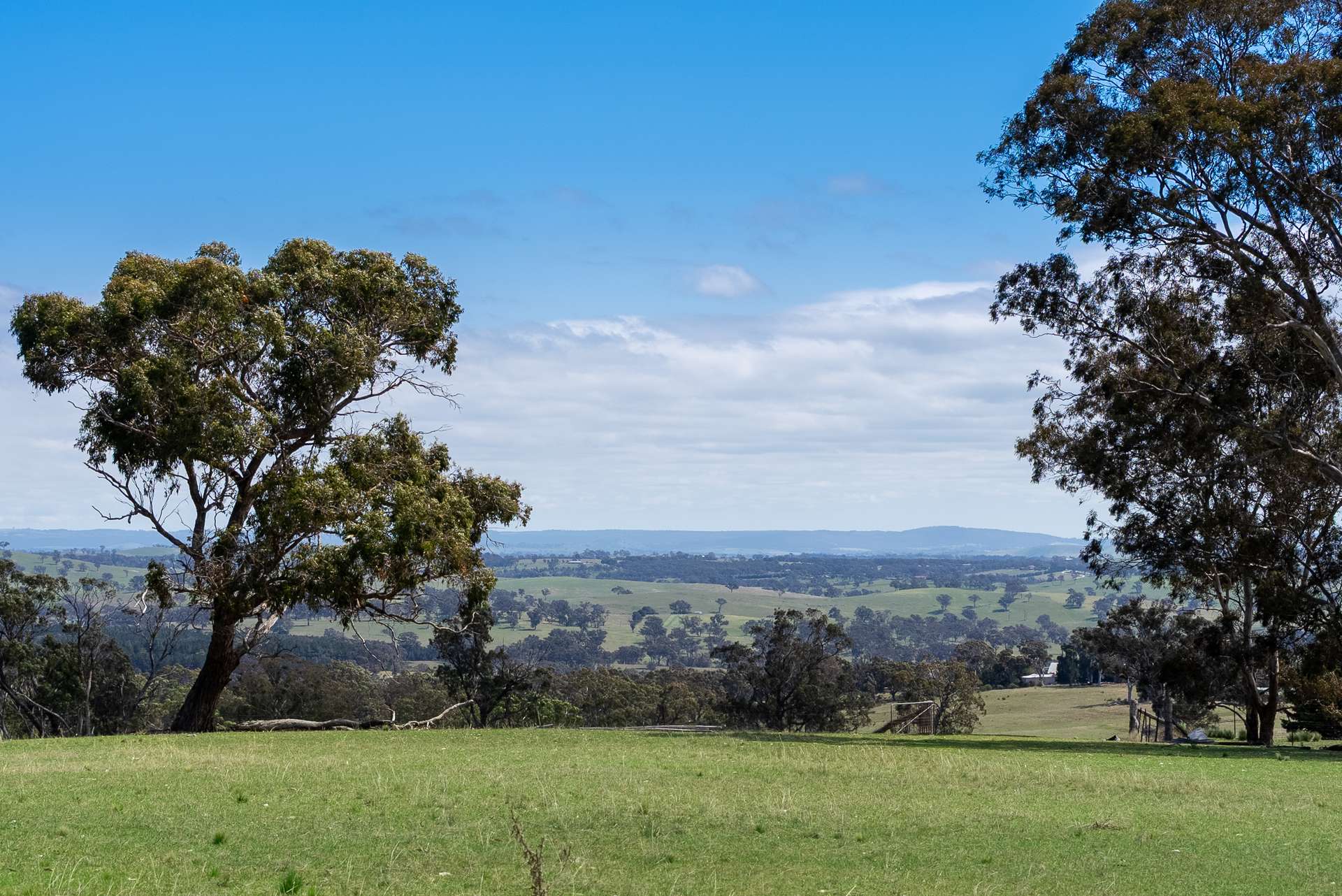 1291 Carlwood Road, O'Connell Auction by Farmbuy.com - image 2