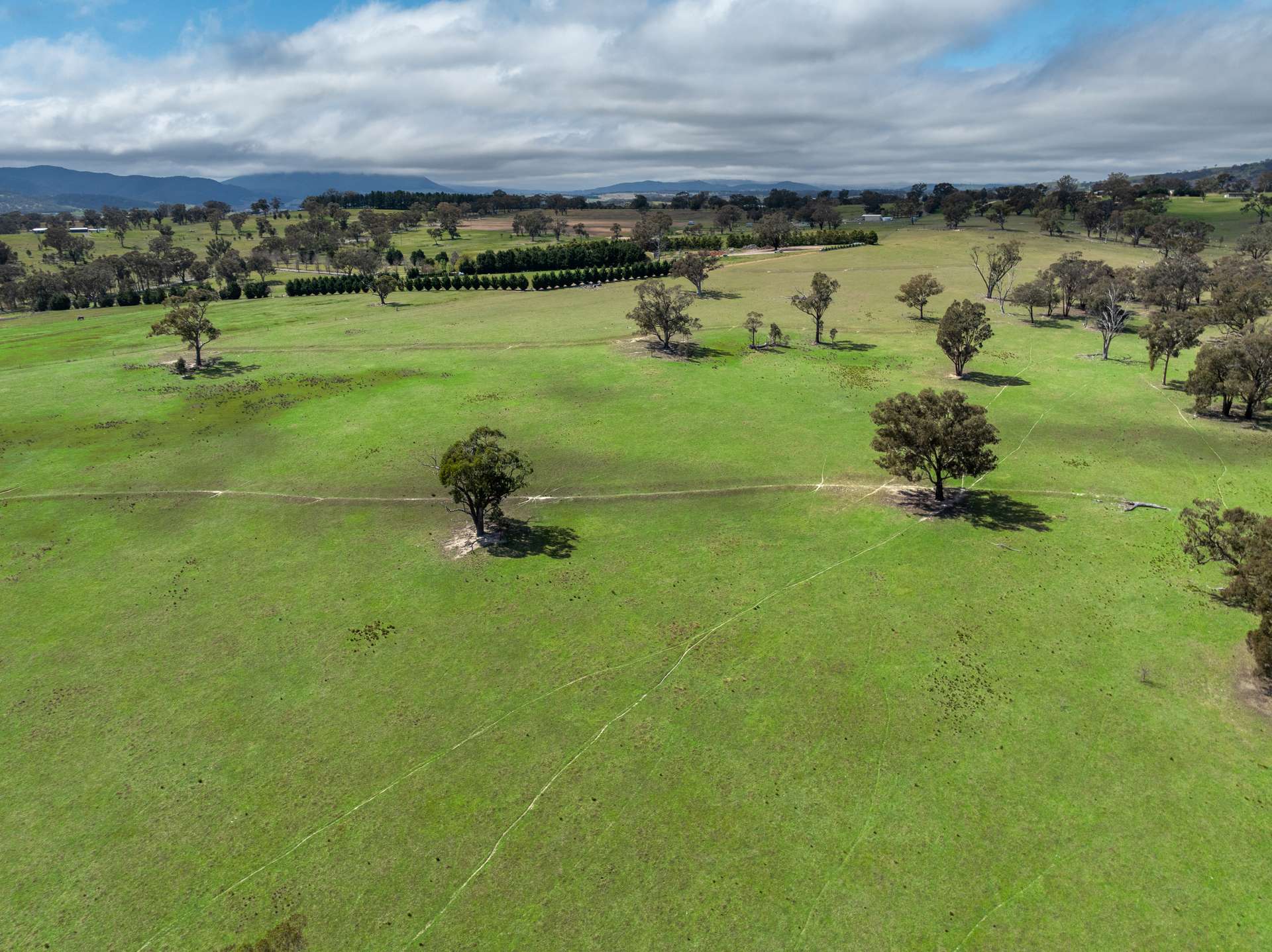 1291 Carlwood Road, O'Connell Auction by Farmbuy.com - image 16