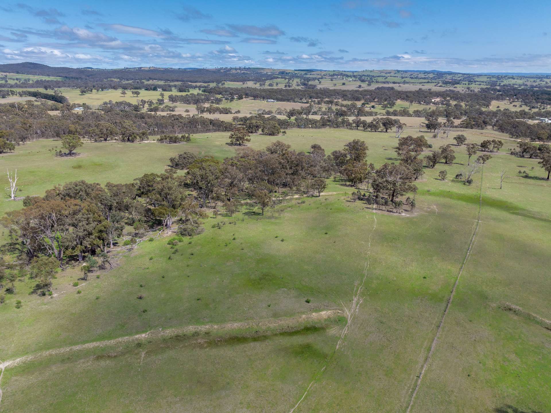 1291 Carlwood Road, O'Connell Auction by Farmbuy.com - image 14