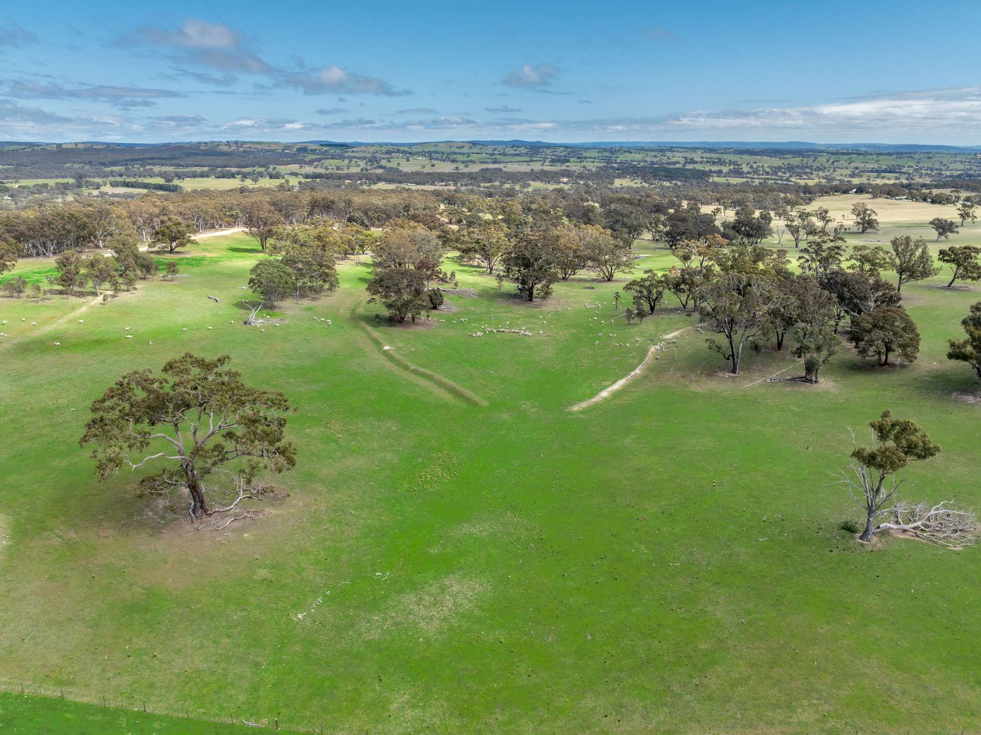 1291 Carlwood Road, O'Connell Auction by Farmbuy.com - image 6