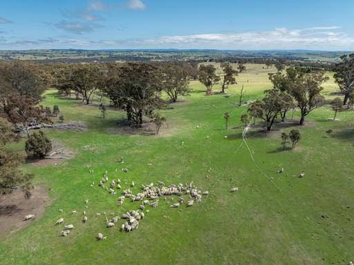1291 Carlwood Road, O'Connell NSW 2795