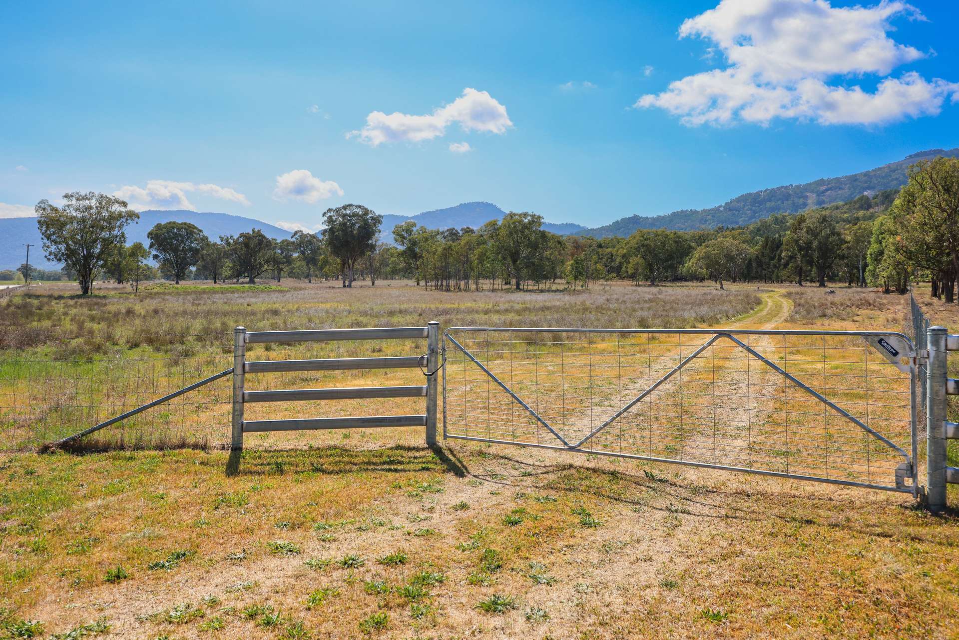 890 Moonbi Gap Road, Tamworth Auction by Farmbuy.com - image 15