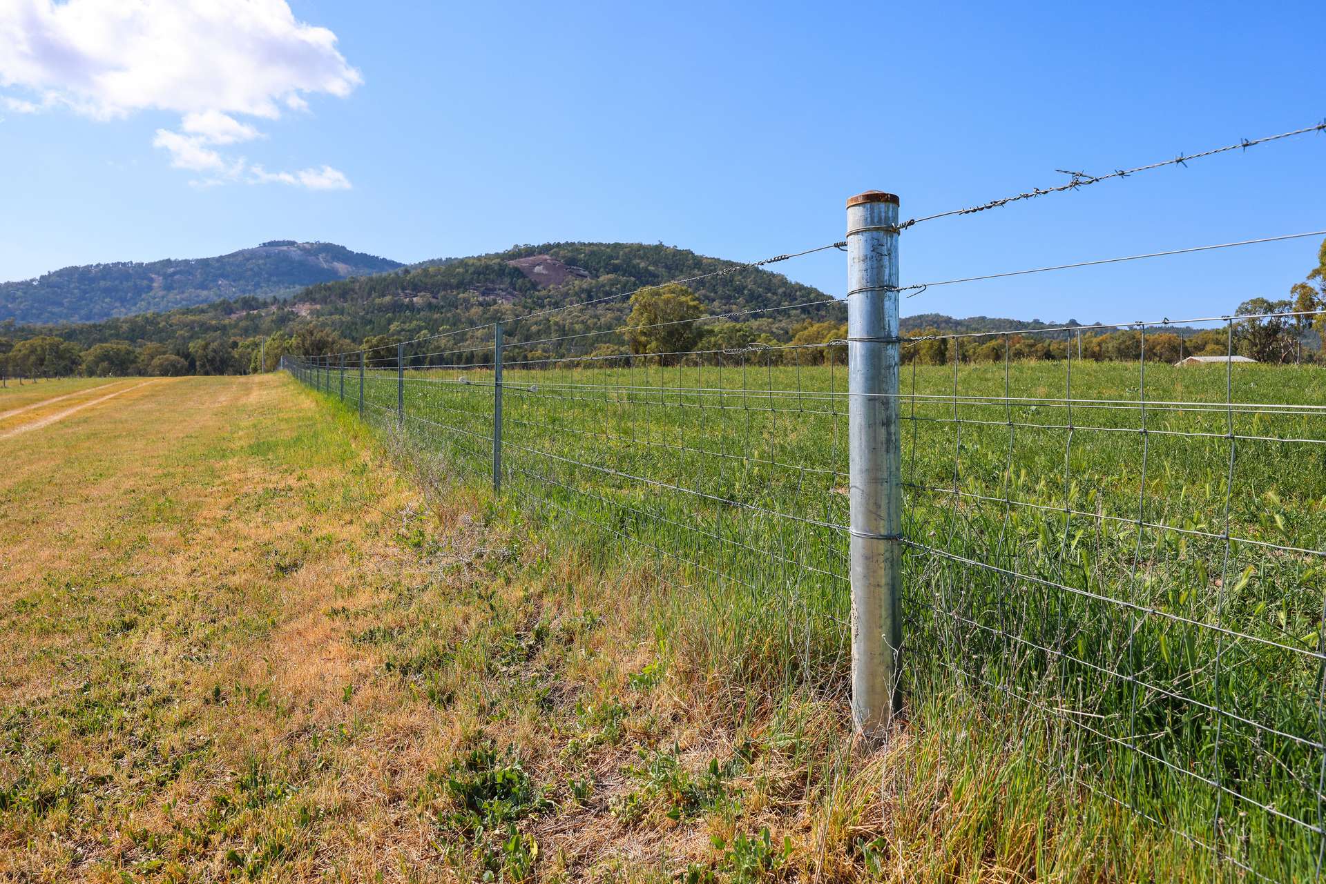 890 Moonbi Gap Road, Tamworth Auction by Farmbuy.com - image 13