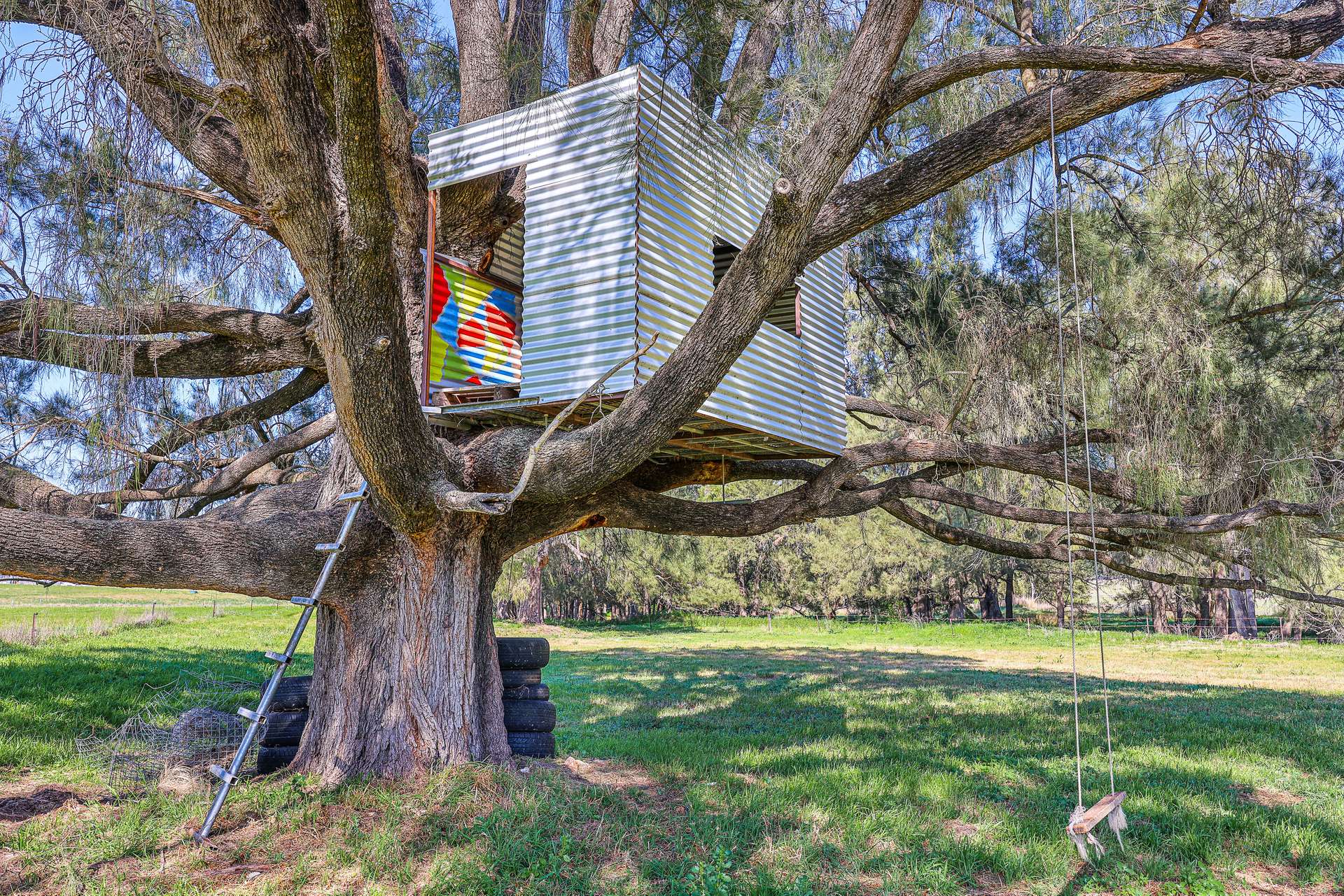 890 Moonbi Gap Road, Tamworth Auction by Farmbuy.com - image 7