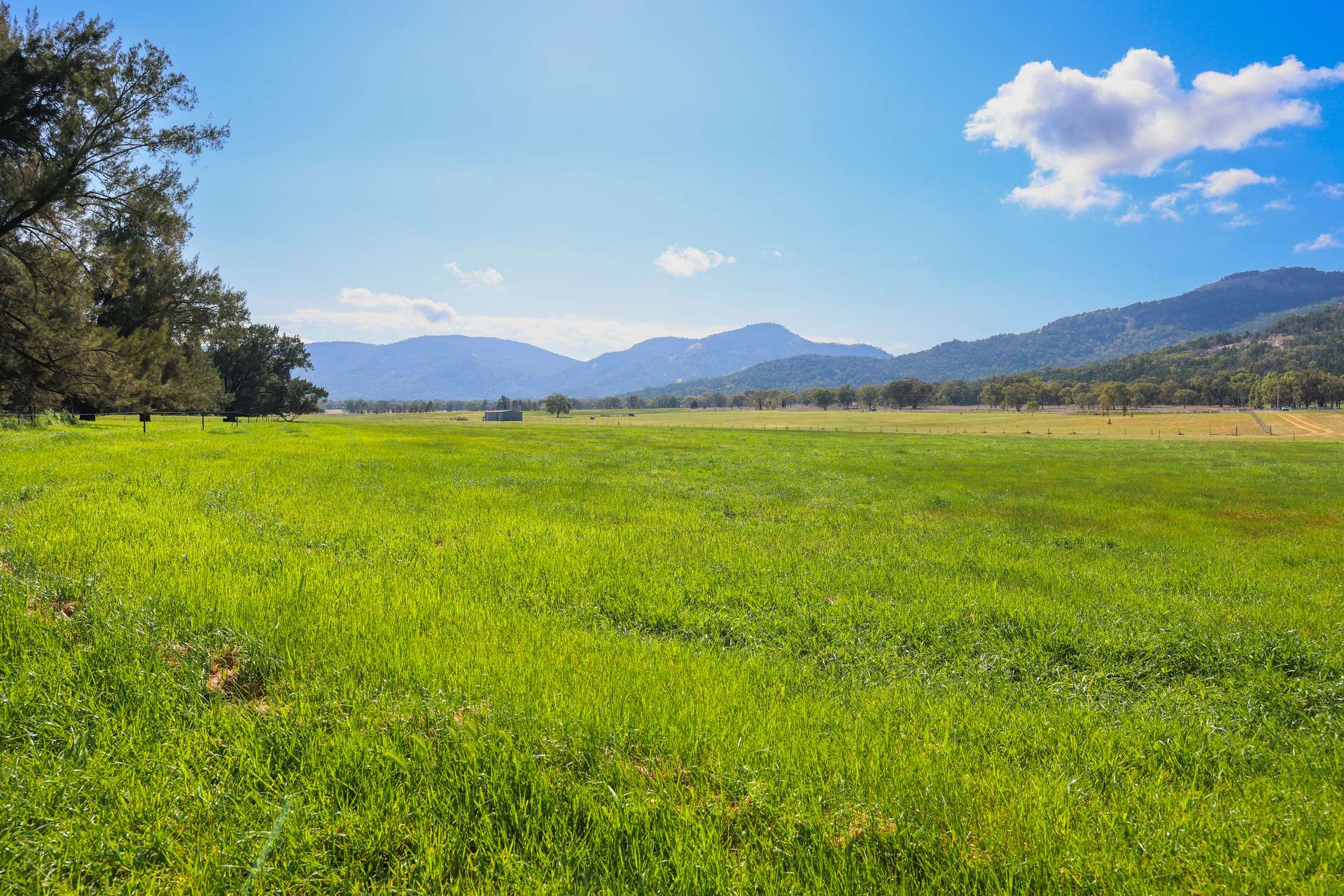 890 Moonbi Gap Road, Tamworth Auction by Farmbuy.com - image 14