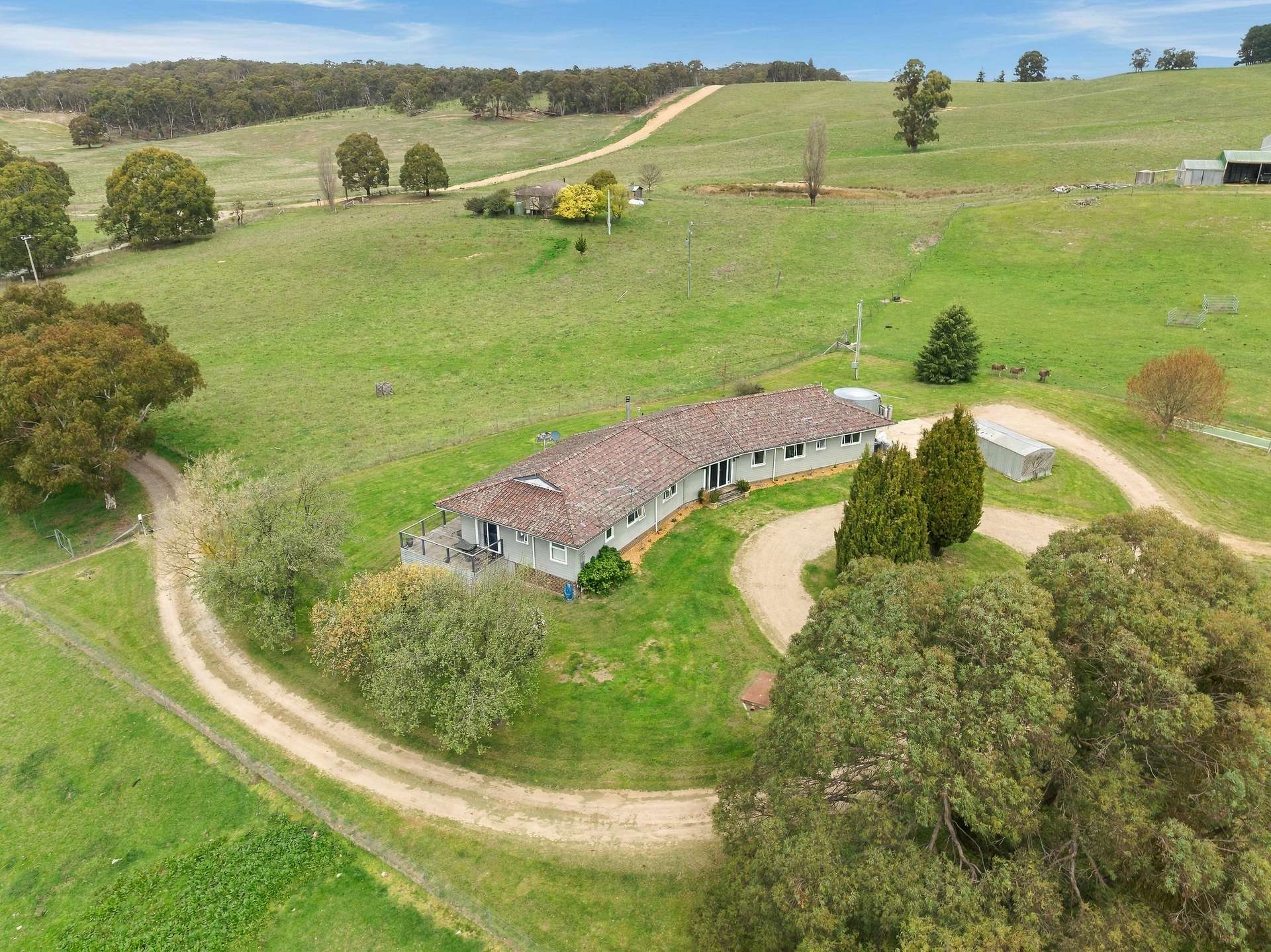 354 Faugha Ballaugha Road, Oberon Auction by Farmbuy.com - image 14