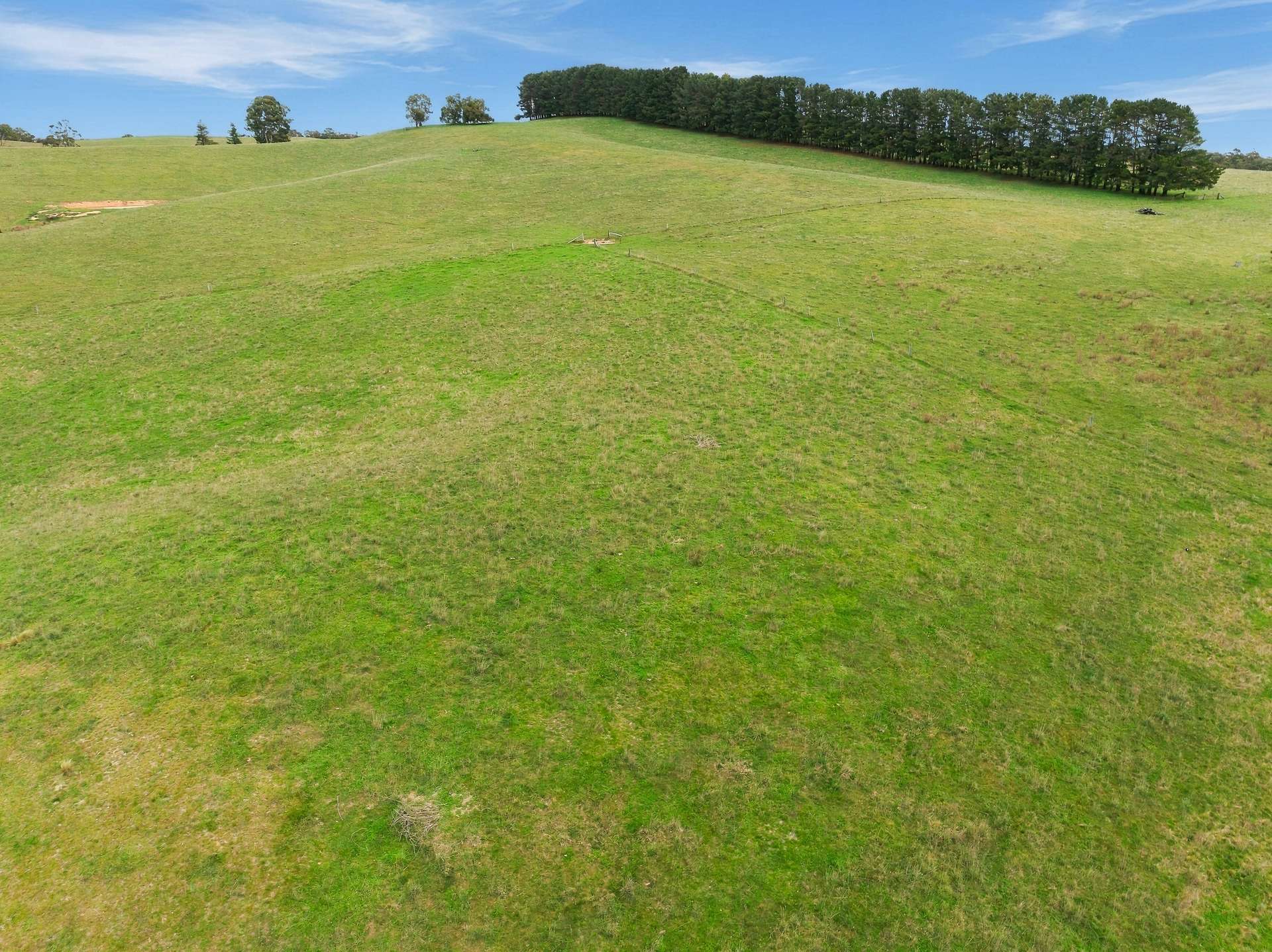 354 Faugha Ballaugha Road, Oberon Auction by Farmbuy.com - image 25