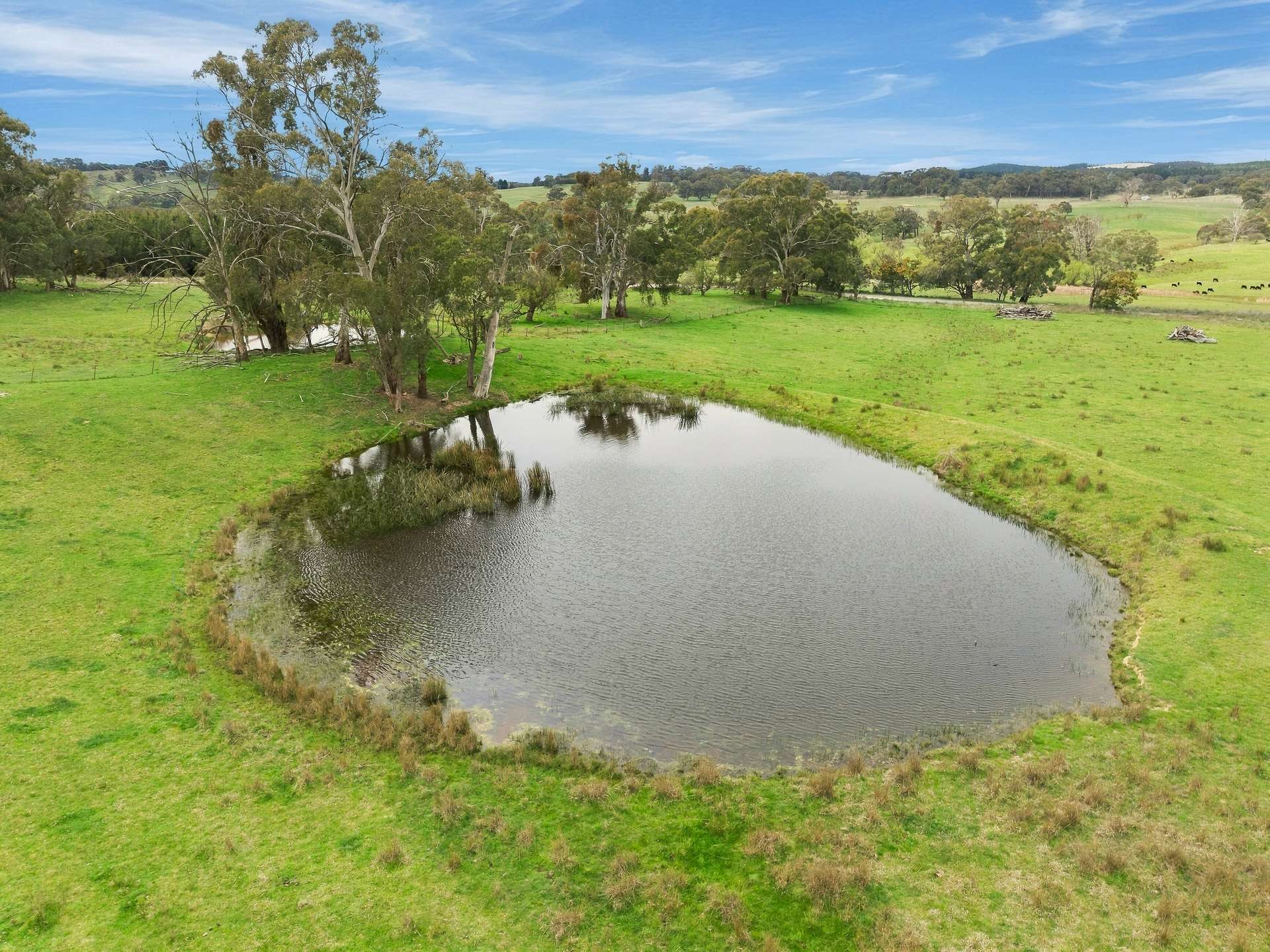 354 Faugha Ballaugha Road, Oberon Auction by Farmbuy.com - image 15