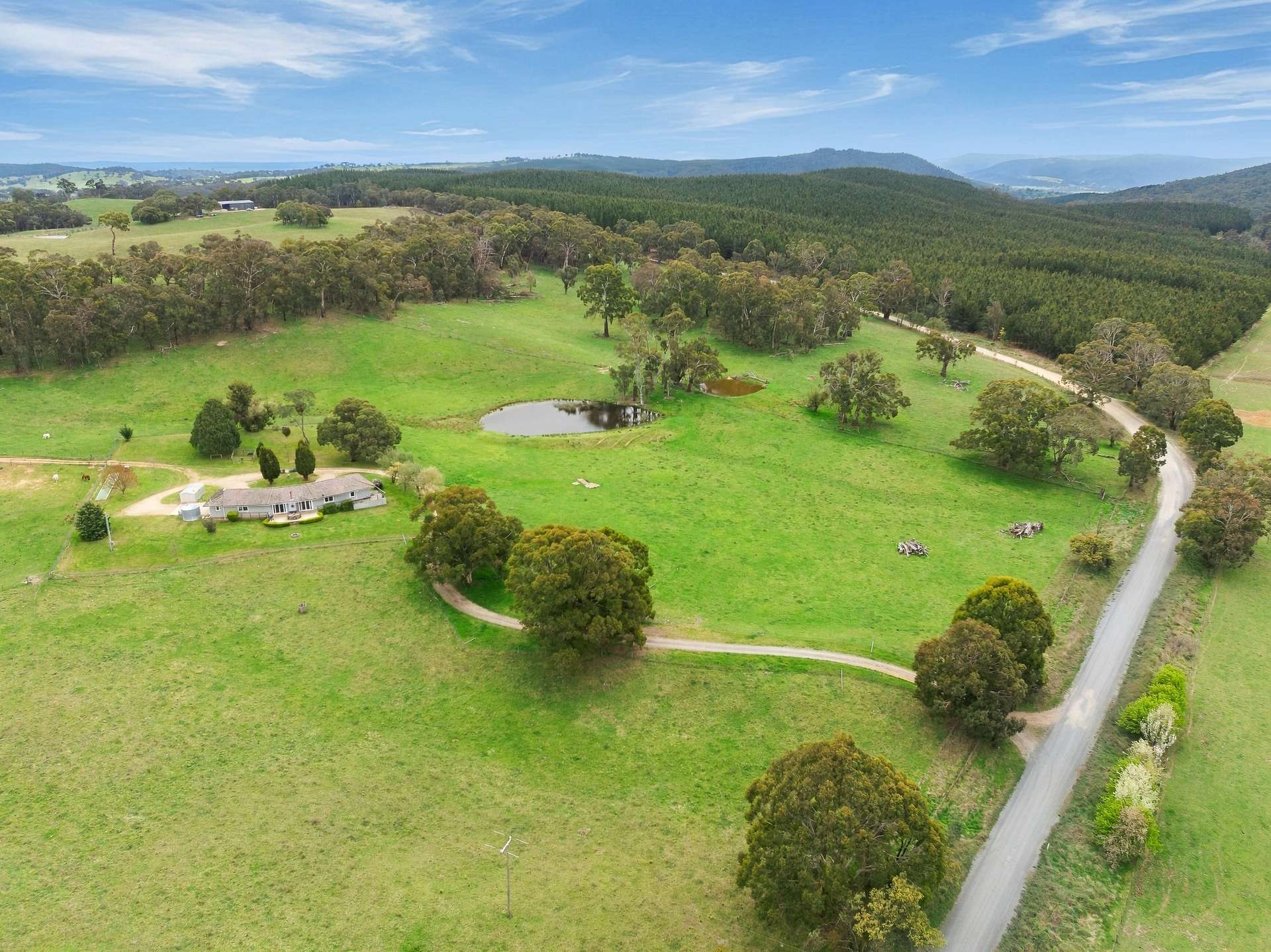 354 Faugha Ballaugha Road, Oberon Auction by Farmbuy.com - image 16