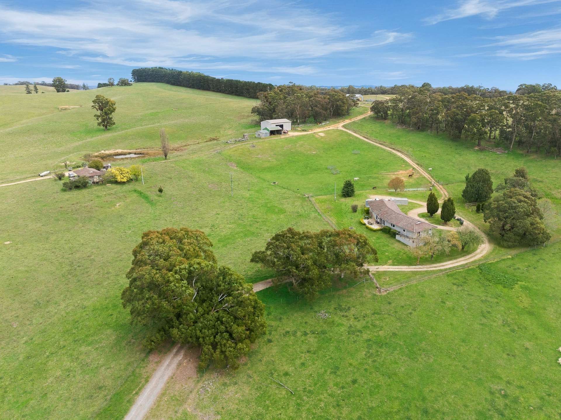 354 Faugha Ballaugha Road, Oberon Auction by Farmbuy.com - image 30