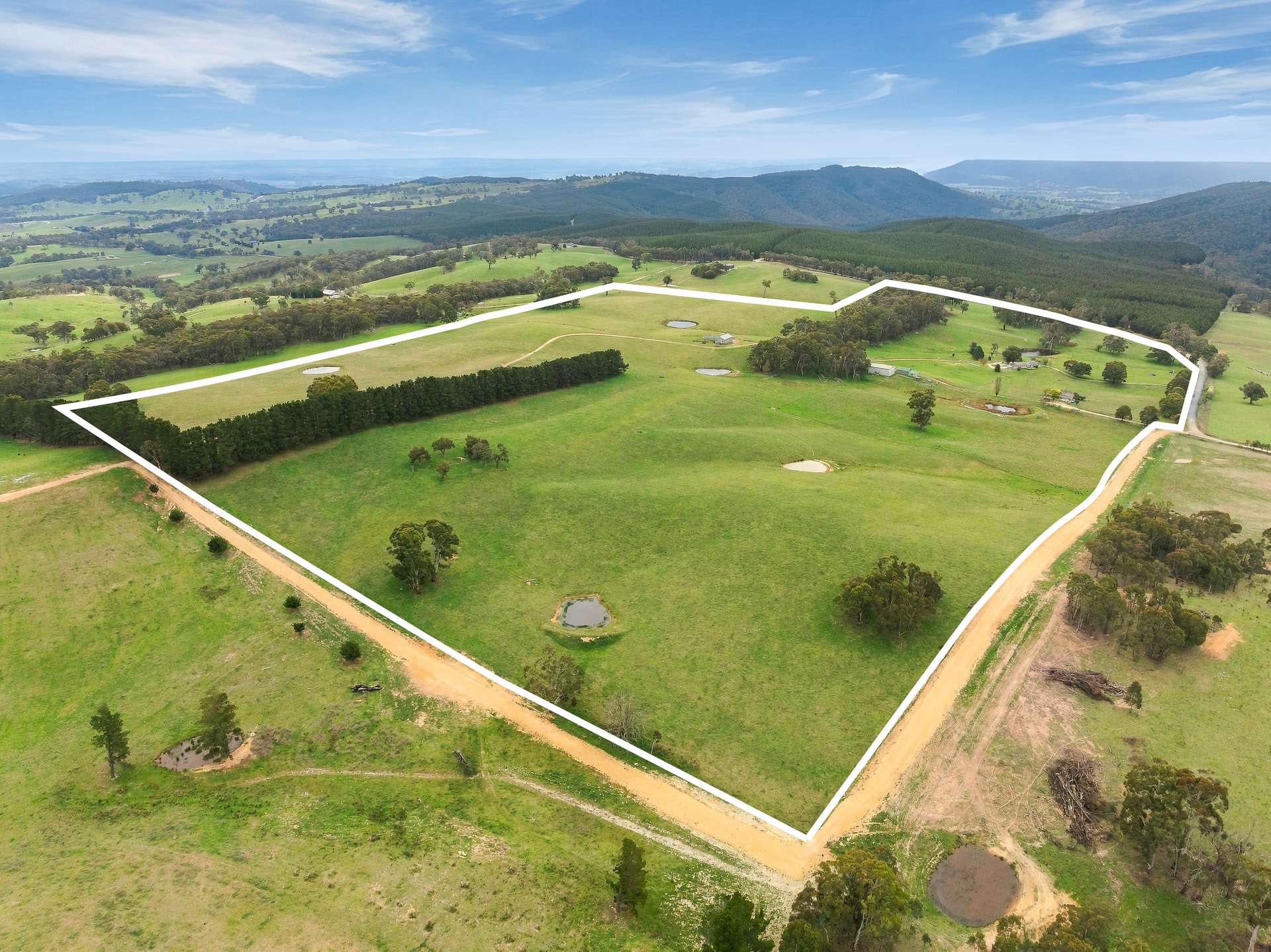 354 Faugha Ballaugha Road, Oberon Auction by Farmbuy.com - image 2