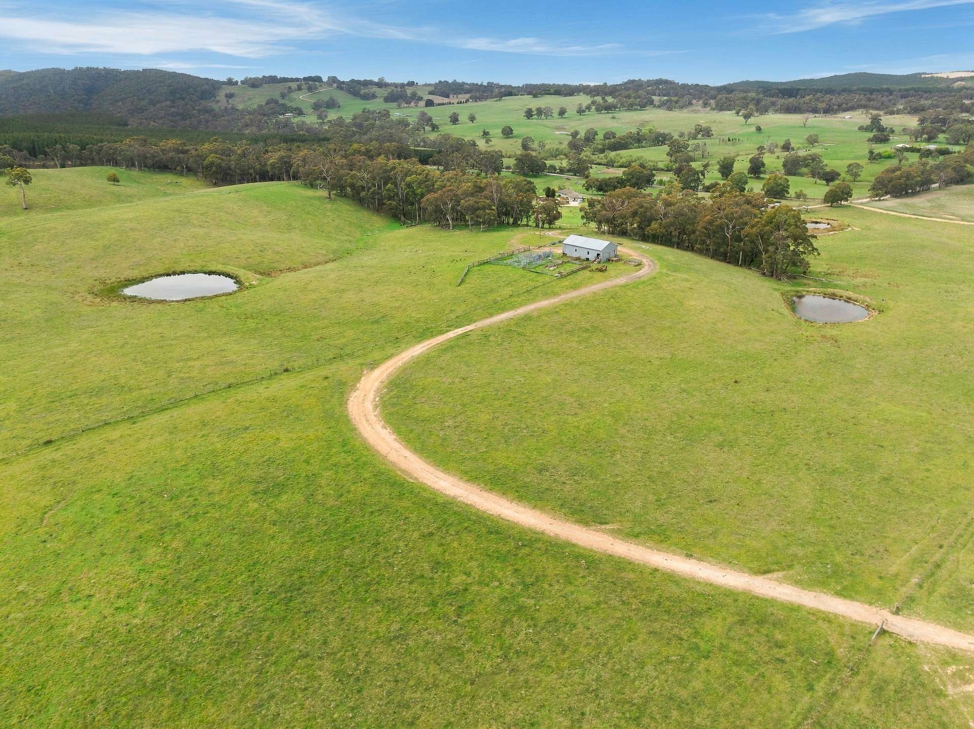 354 Faugha Ballaugha Road, Oberon Auction by Farmbuy.com - image 27