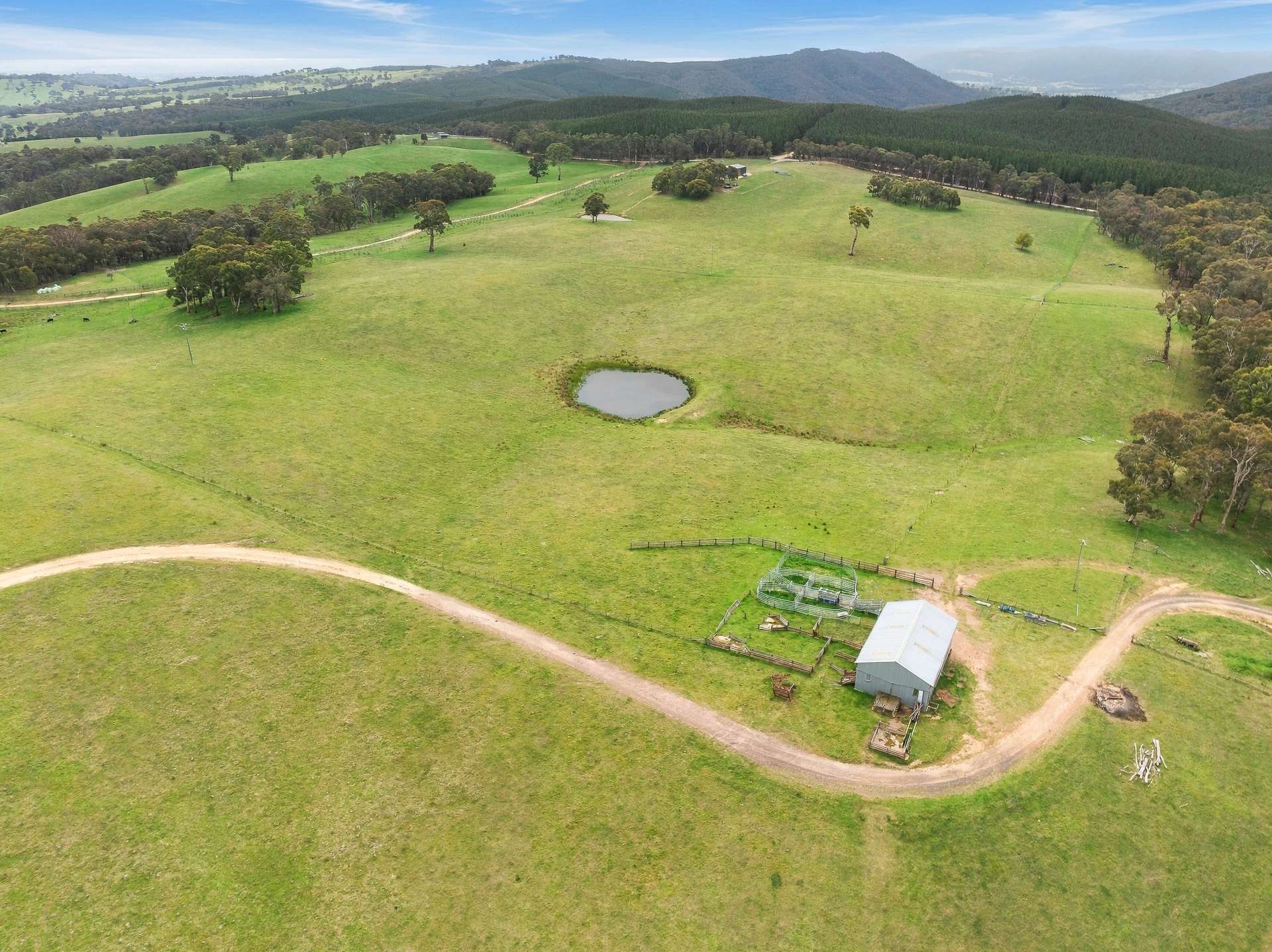 354 Faugha Ballaugha Road, Oberon Auction by Farmbuy.com - image 24