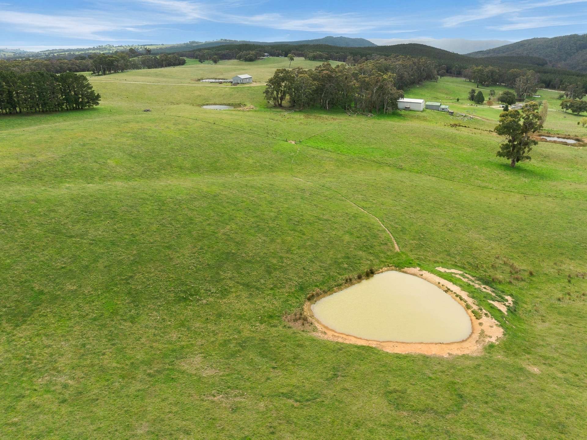 354 Faugha Ballaugha Road, Oberon Auction by Farmbuy.com - image 23