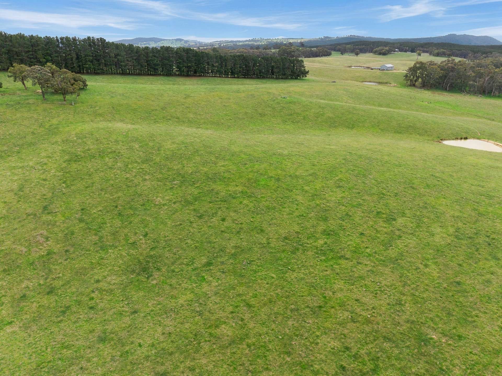 354 Faugha Ballaugha Road, Oberon Auction by Farmbuy.com - image 22
