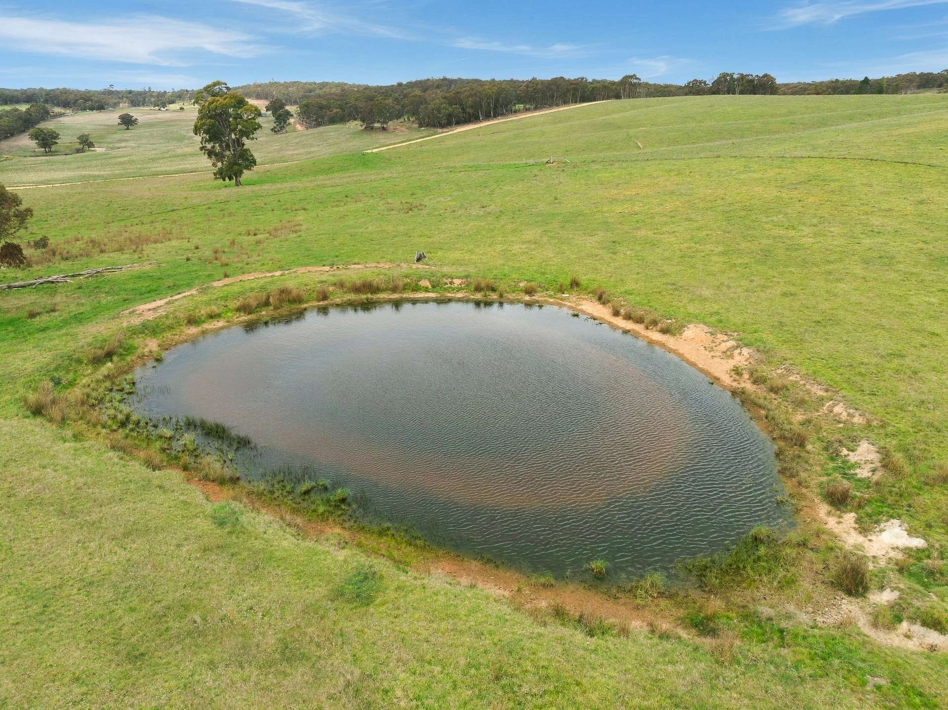 354 Faugha Ballaugha Road, Oberon Auction by Farmbuy.com - image 28